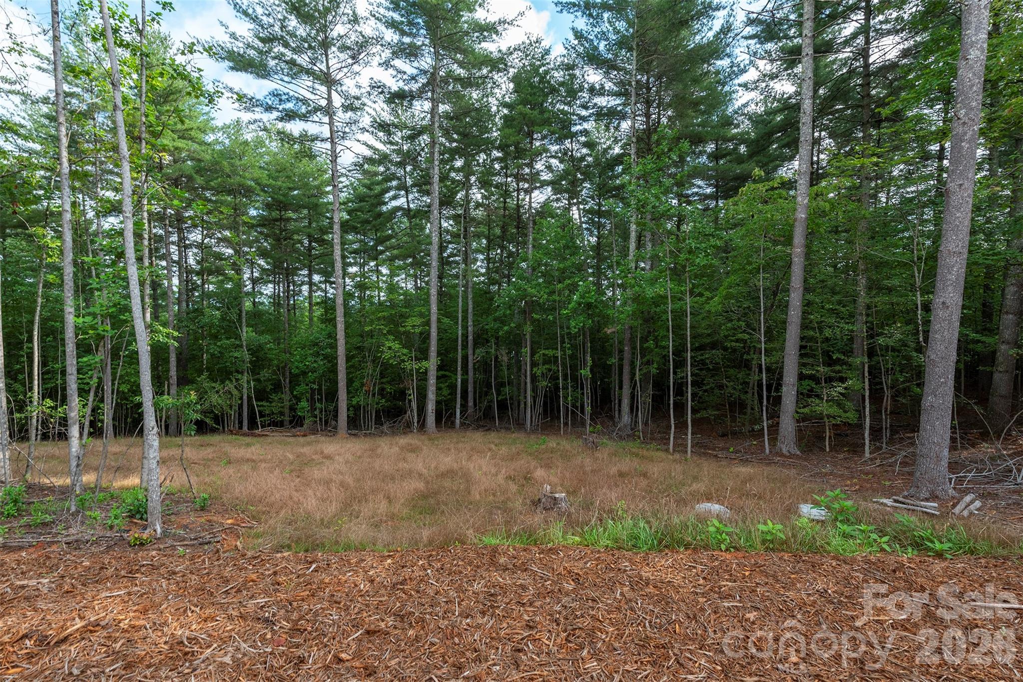 1156 Campbells Trace Property Photo 33