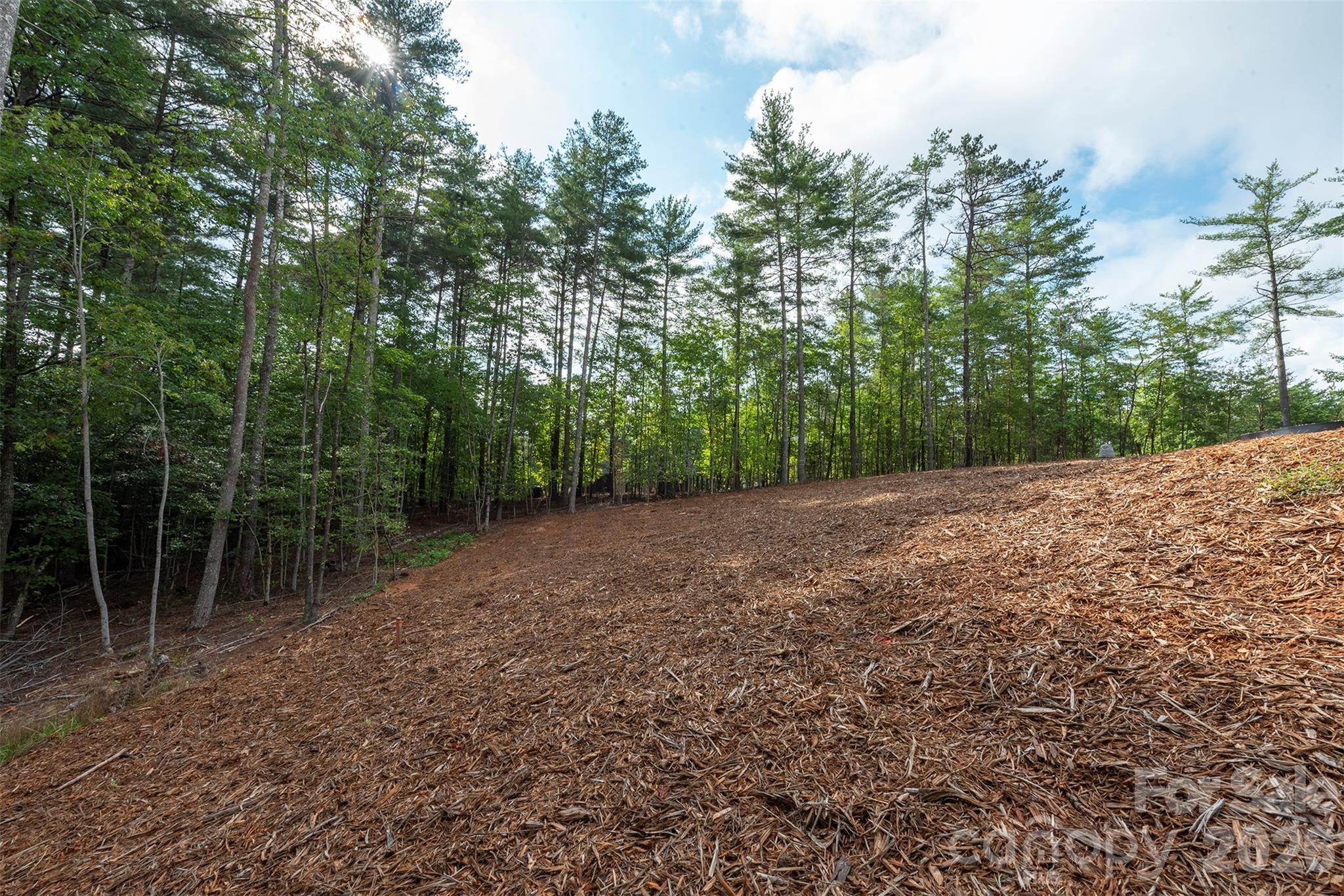1156 Campbells Trace Property Photo 34