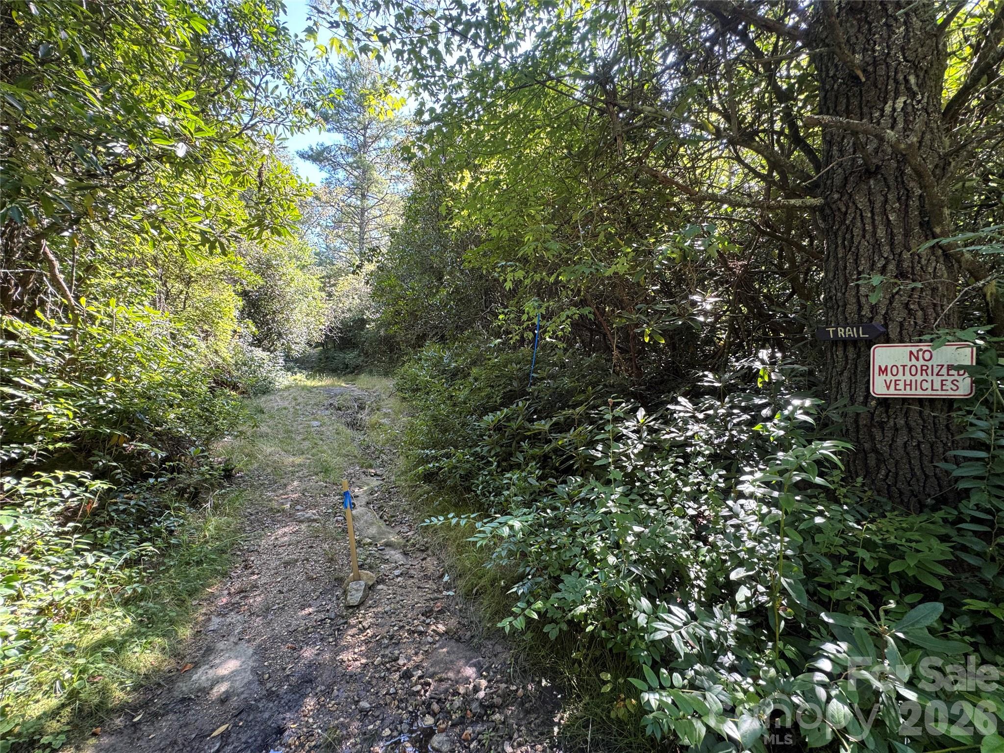 Lt C28 Lodgepole Trail Property Photo 19