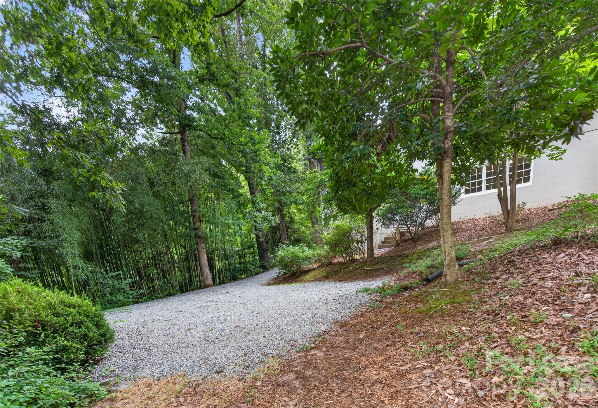 113 Forest Lane Property Photo 22