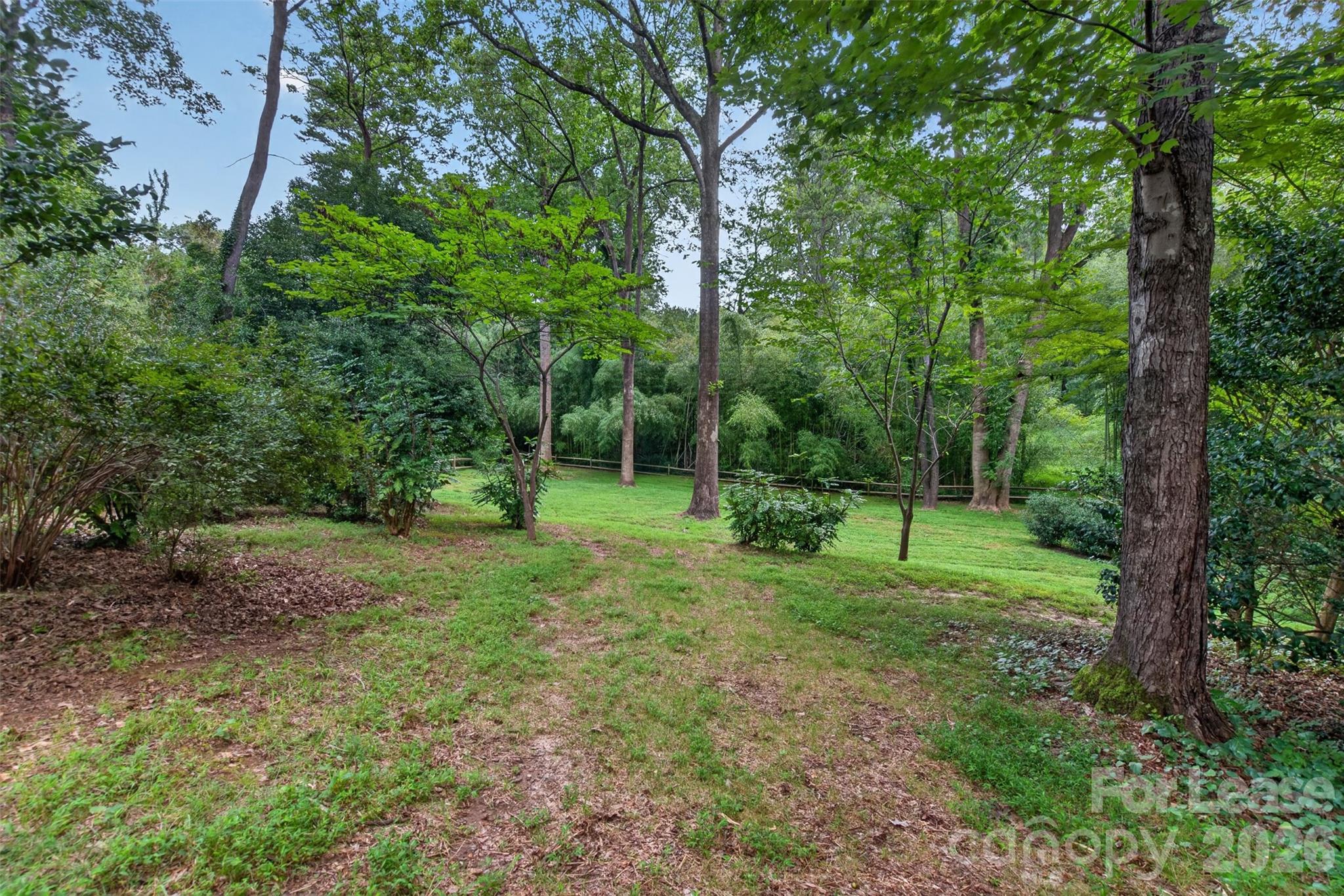 113 Forest Lane Property Photo 23