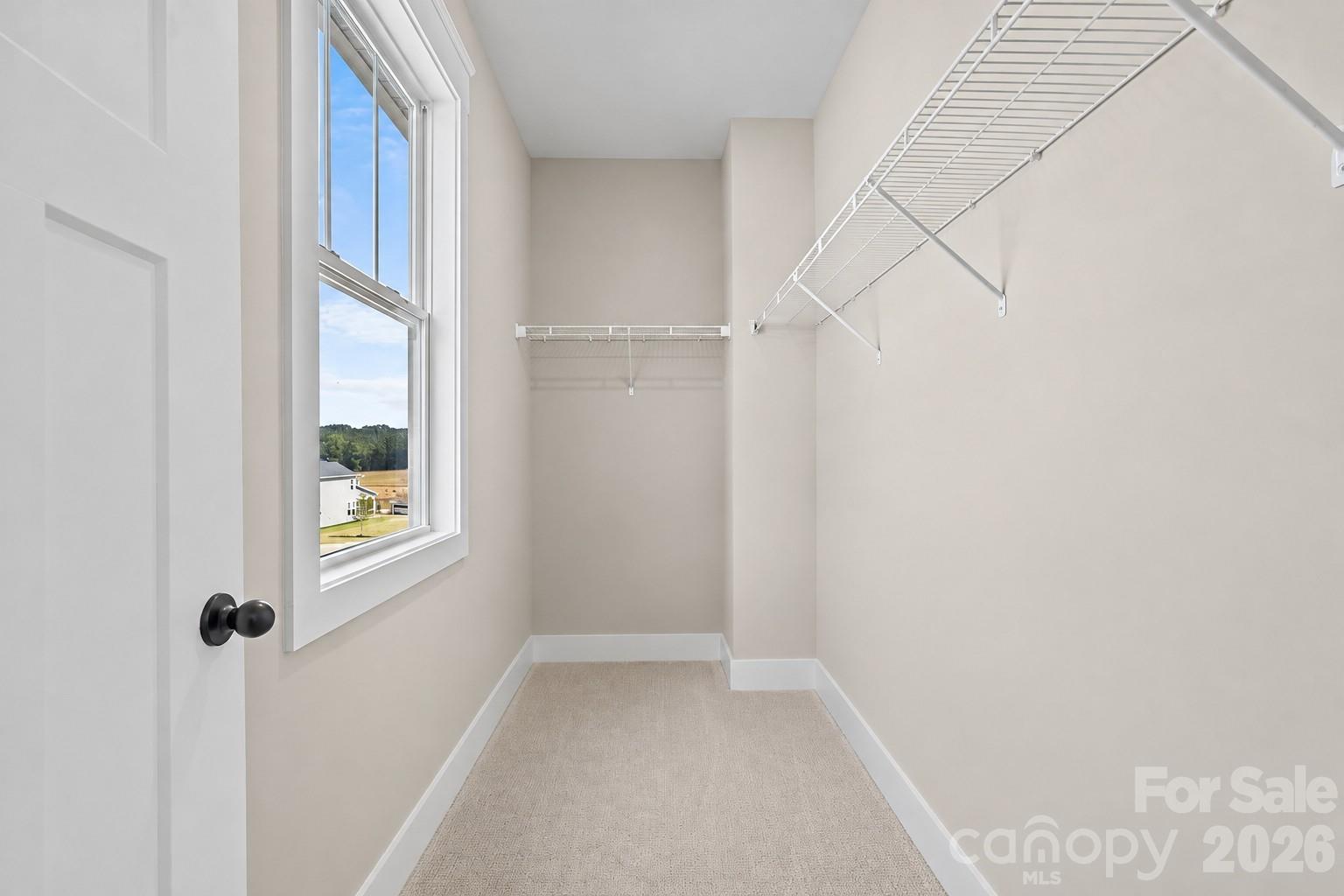 3031 Grandiose Drive Property Photo 22