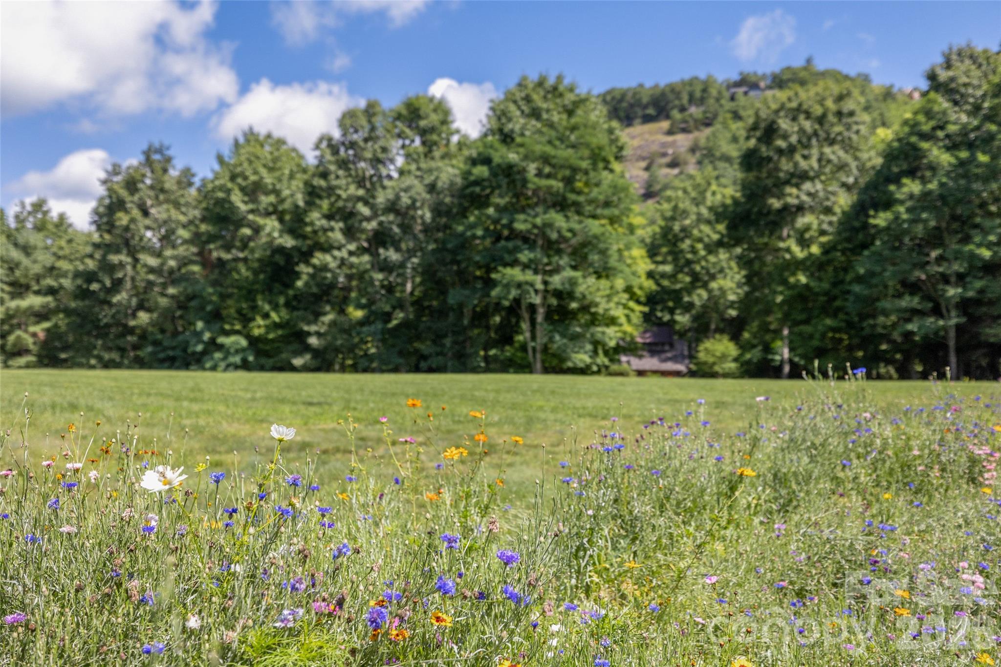 11 E Fish Camp Trail W19 Property Photo 46
