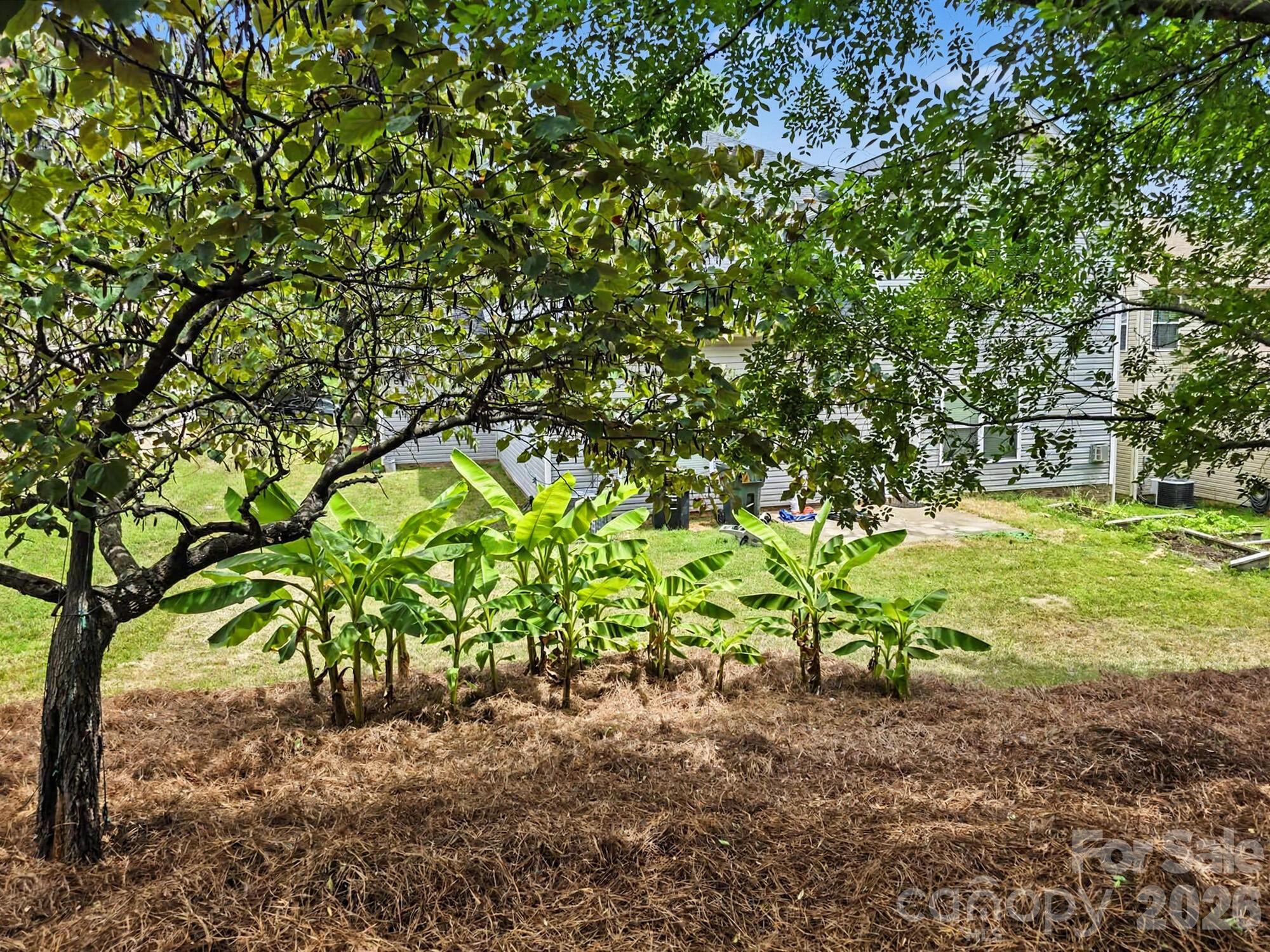 9835 Shearwater Avenue Property Photo 6