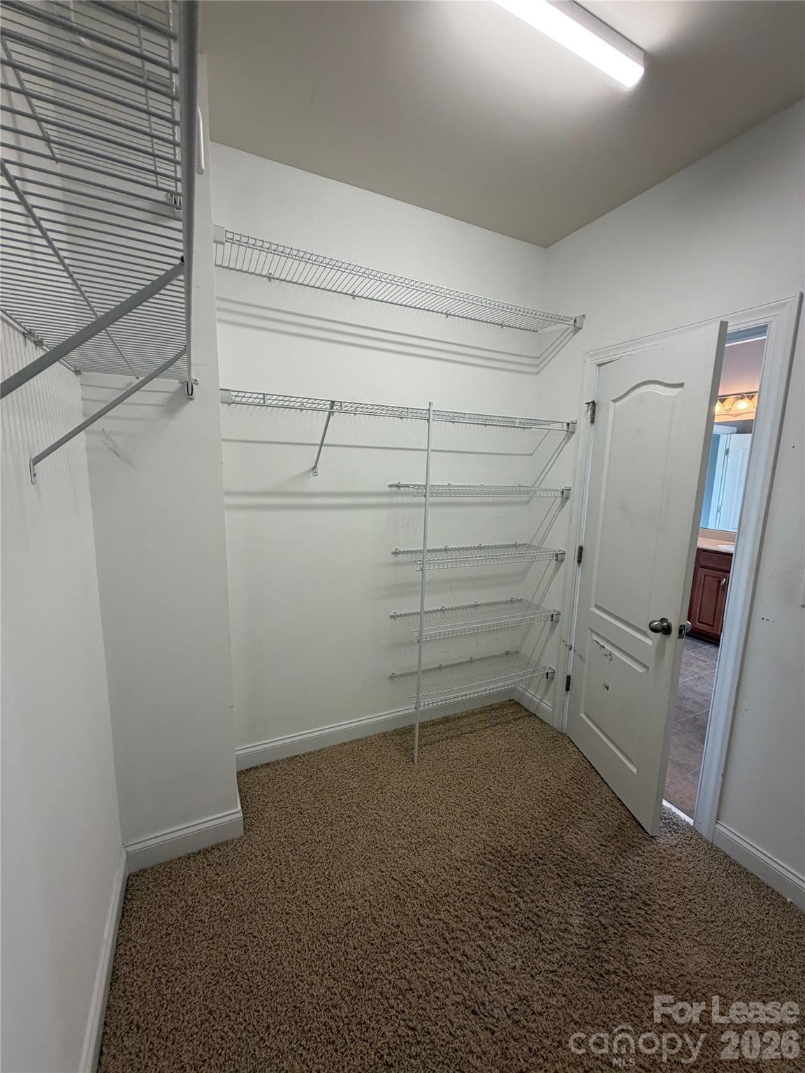 10729 Serape Road Property Photo 24