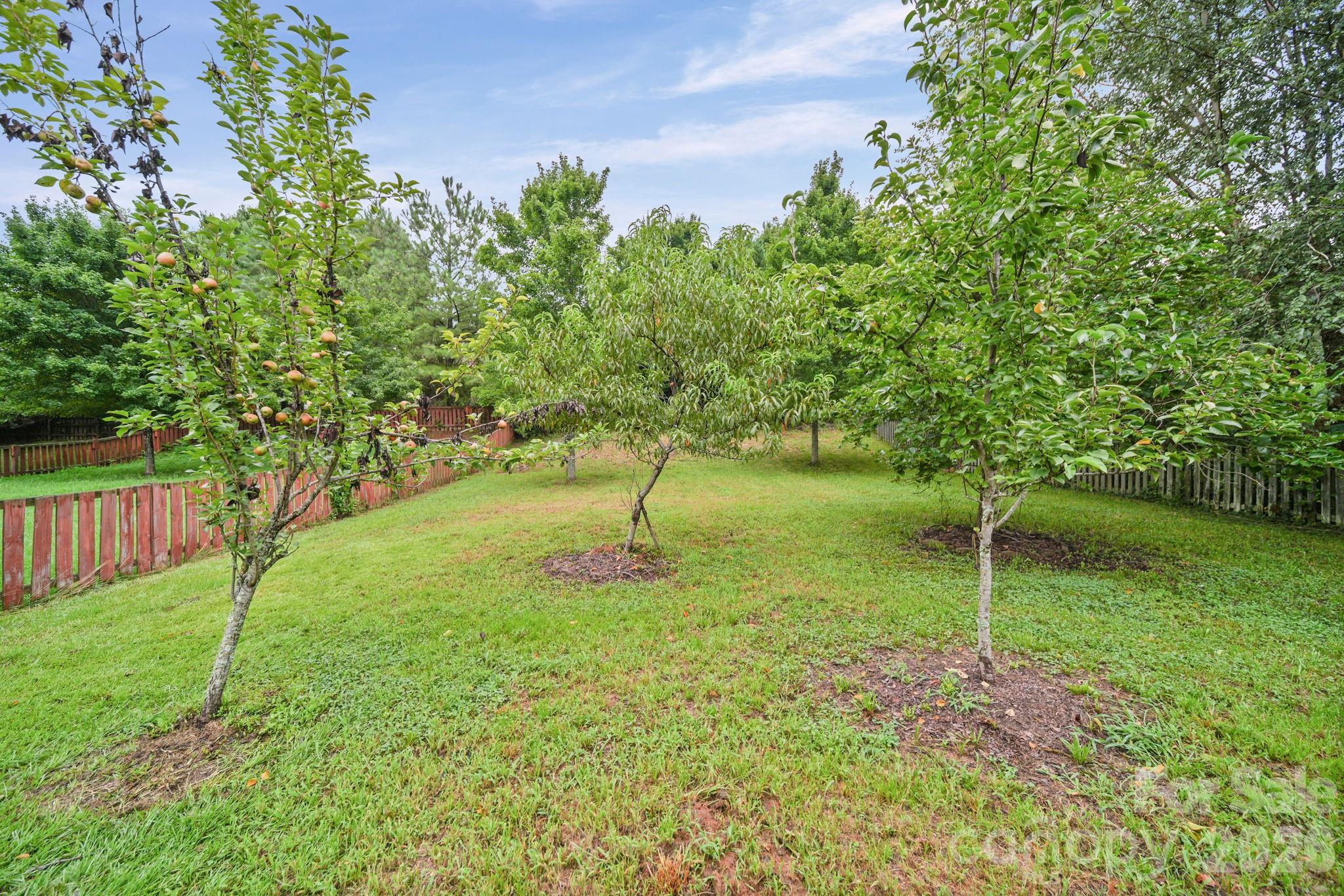 9220 Seamill Road Property Photo 32