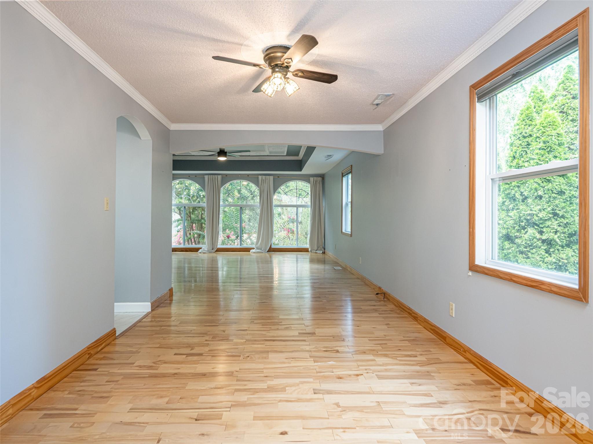 12 Peeler Drive Property Photo 15