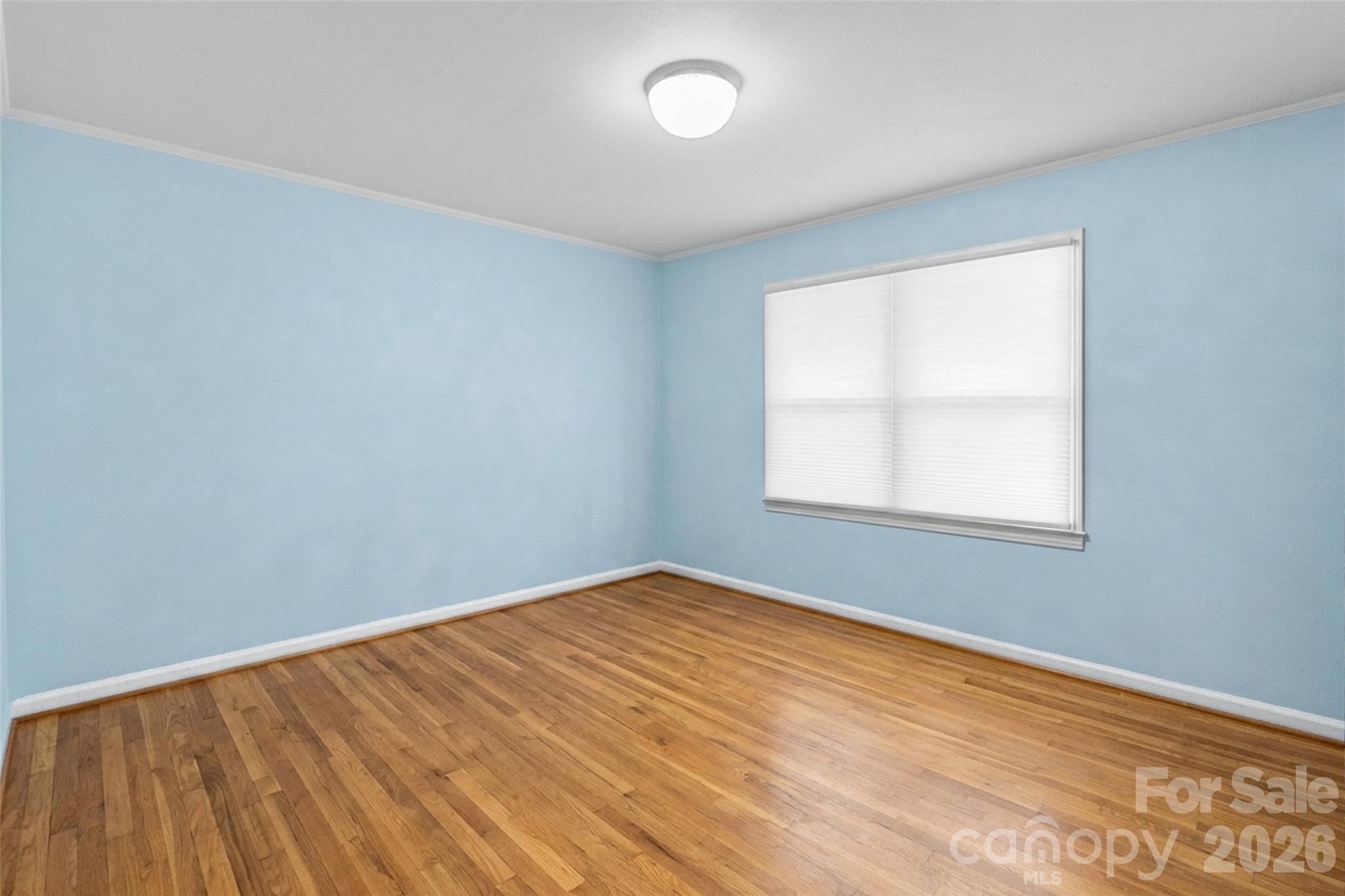 1101 Rosewood Avenue Property Photo 24