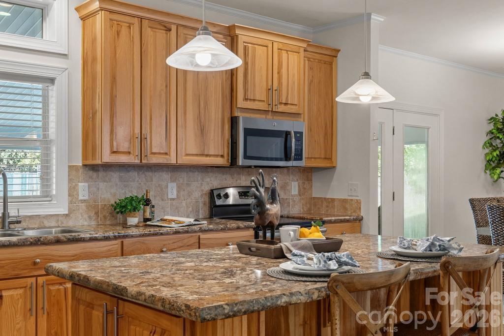 10429 Starwood Drive Property Photo 10