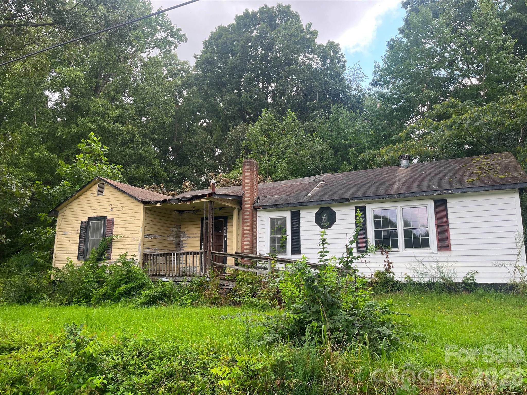 905 Ivey Lane Property Photo 1