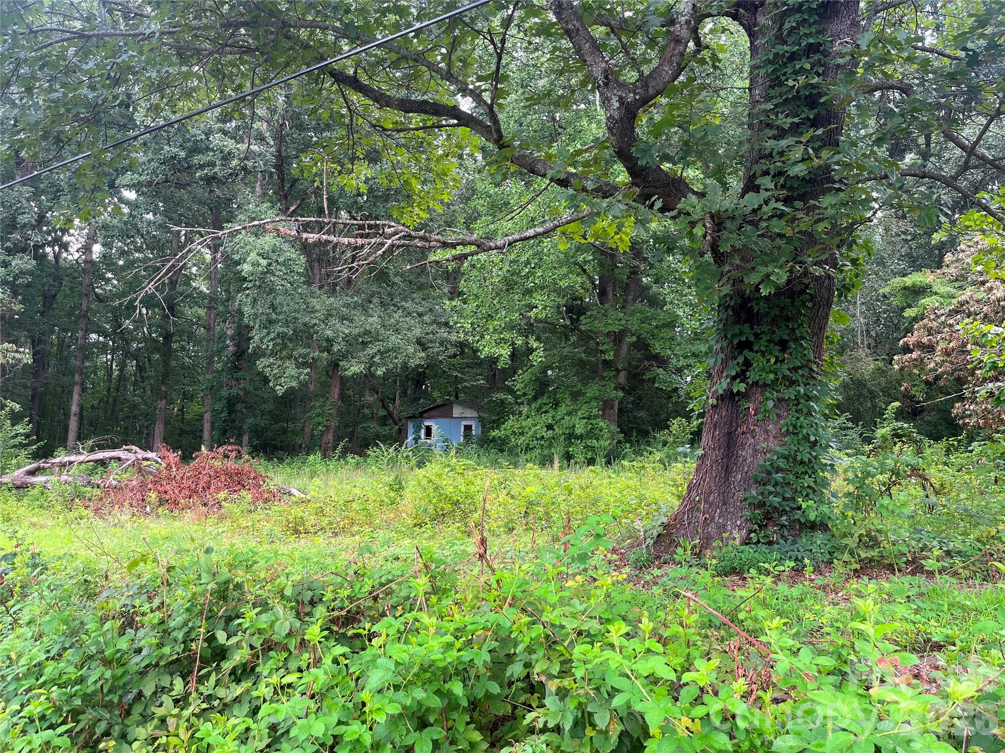 905 Ivey Lane Property Photo 3