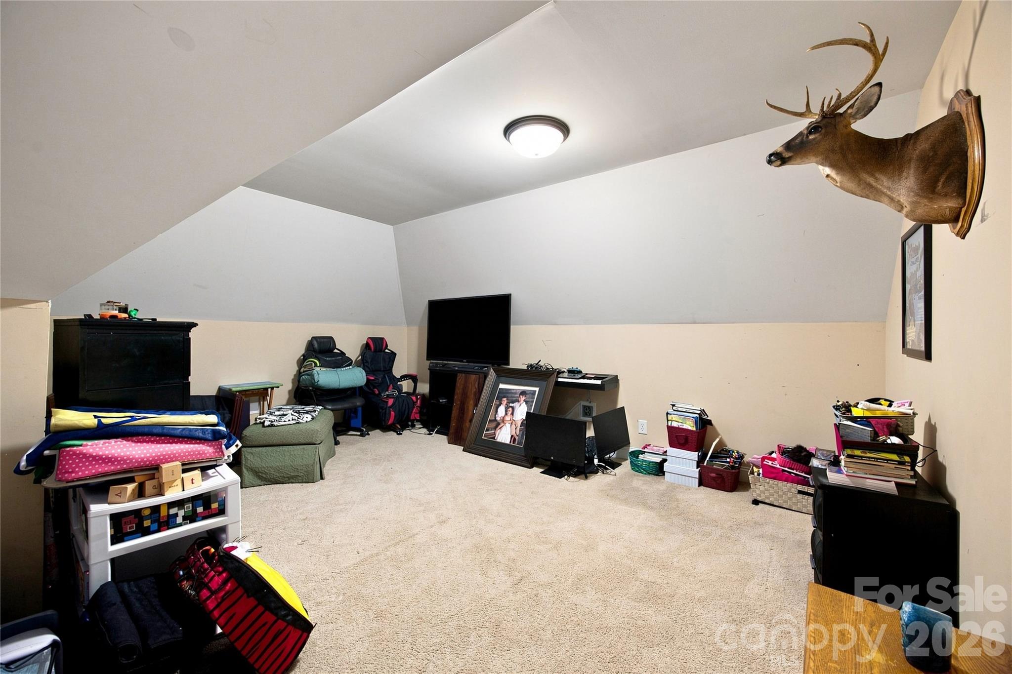 132 Chippewa Trail Property Photo 34