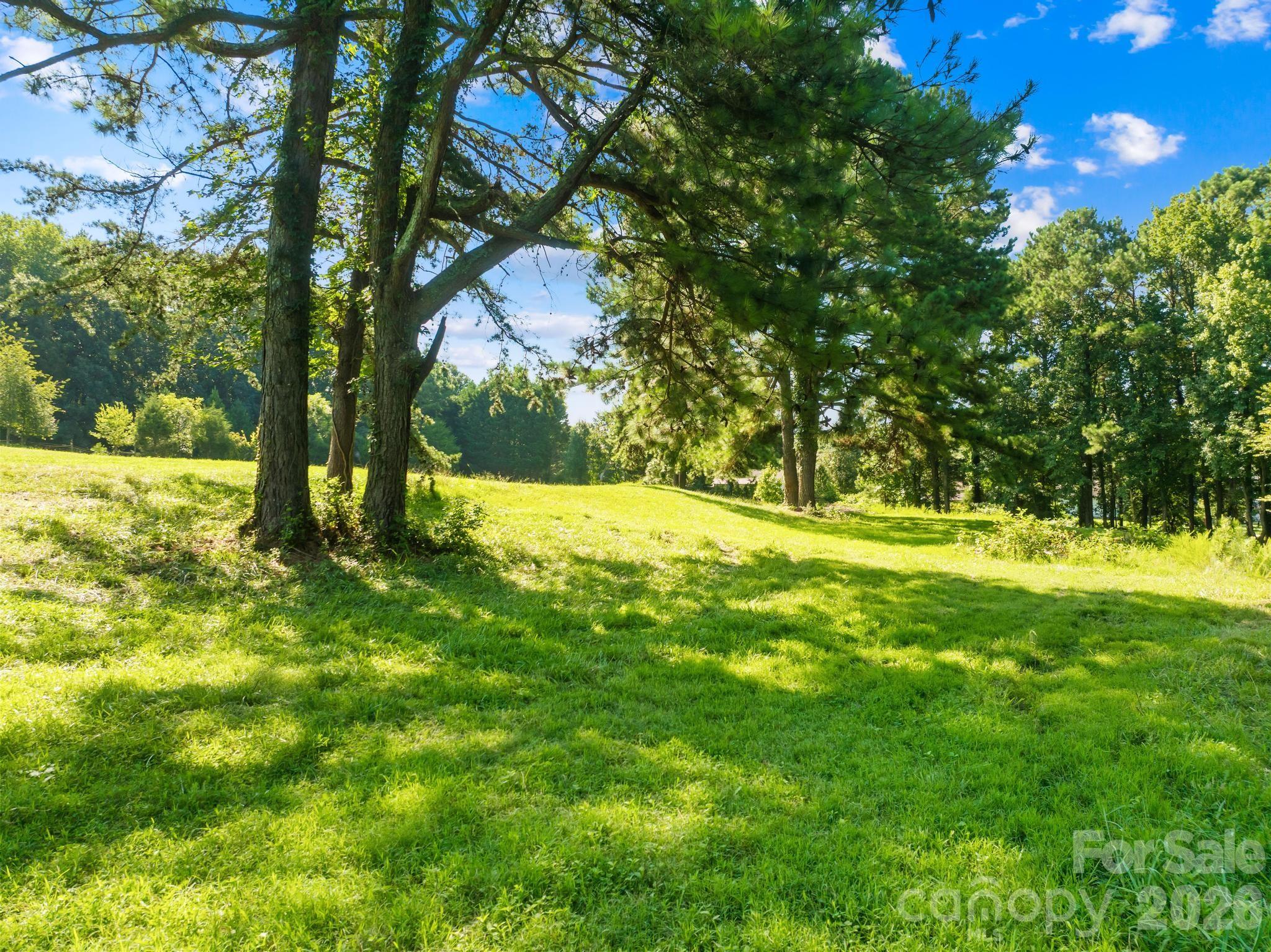 325 Big Indian Loop Property Photo 5