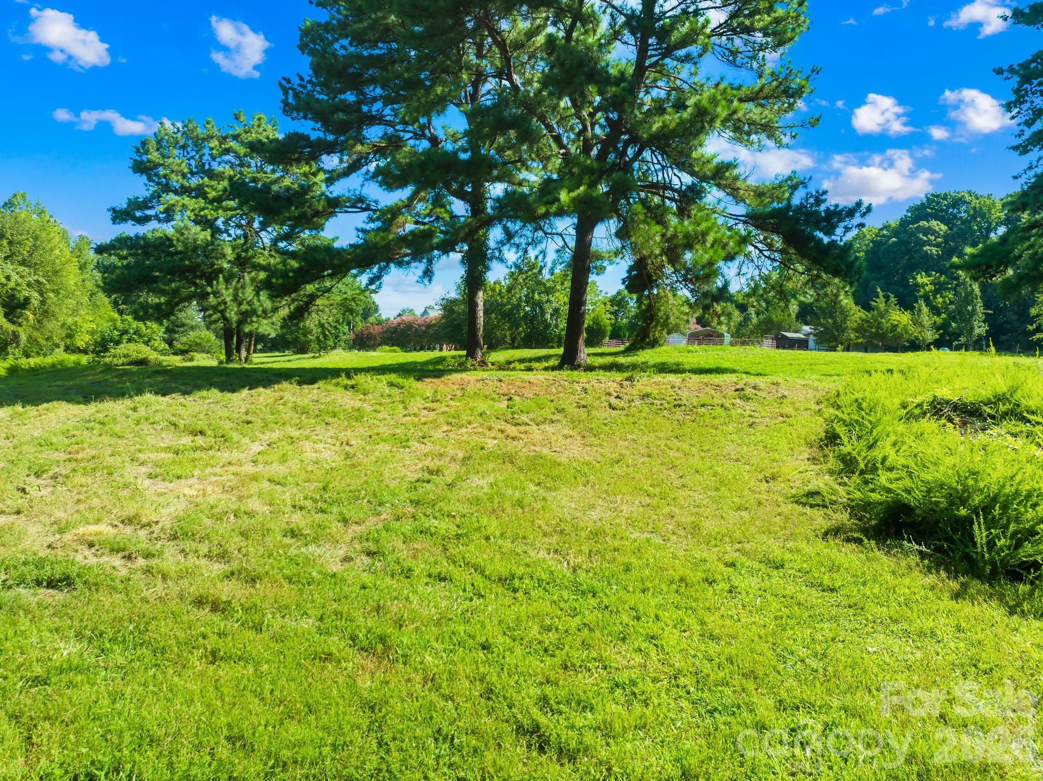 325 Big Indian Loop Property Photo 17