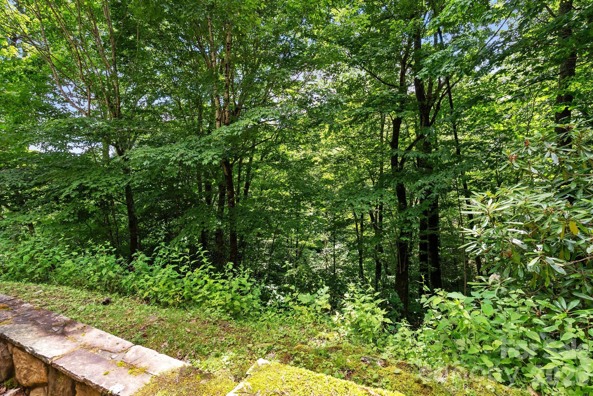 100 Moonshineholler Drive Property Photo 44