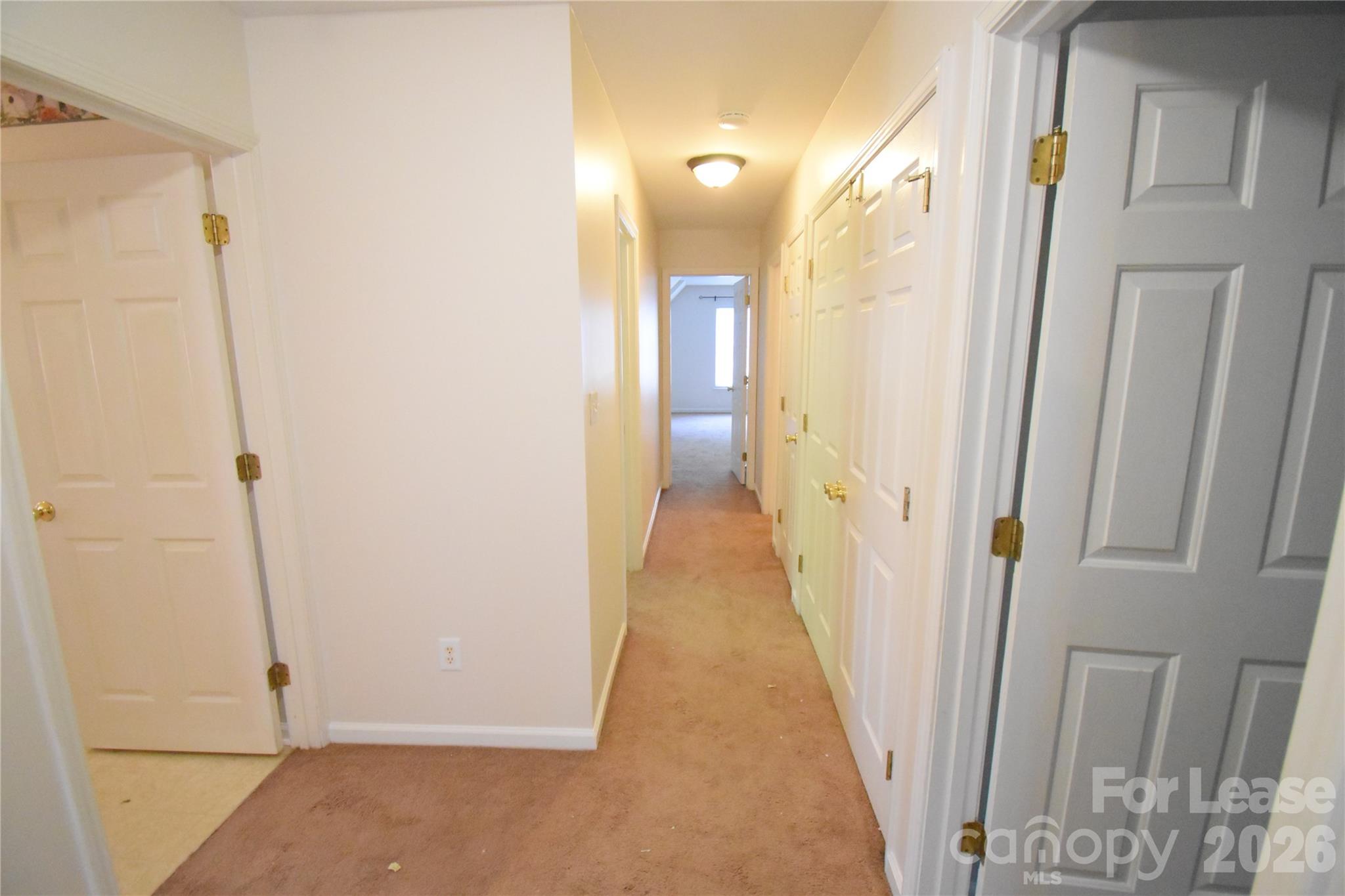 3704 Wind Ridge Place Property Photo 10