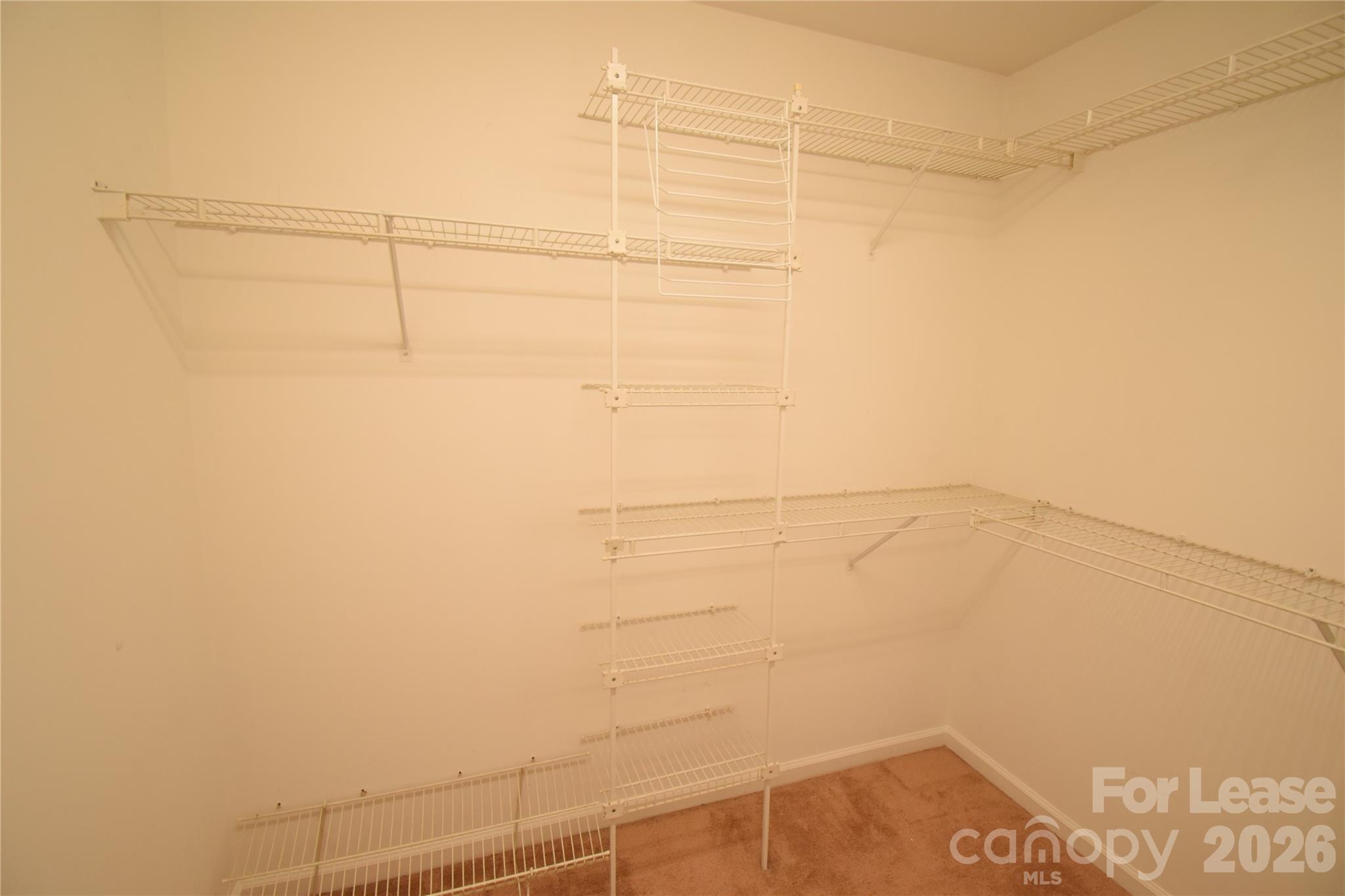 3704 Wind Ridge Place Property Photo 16
