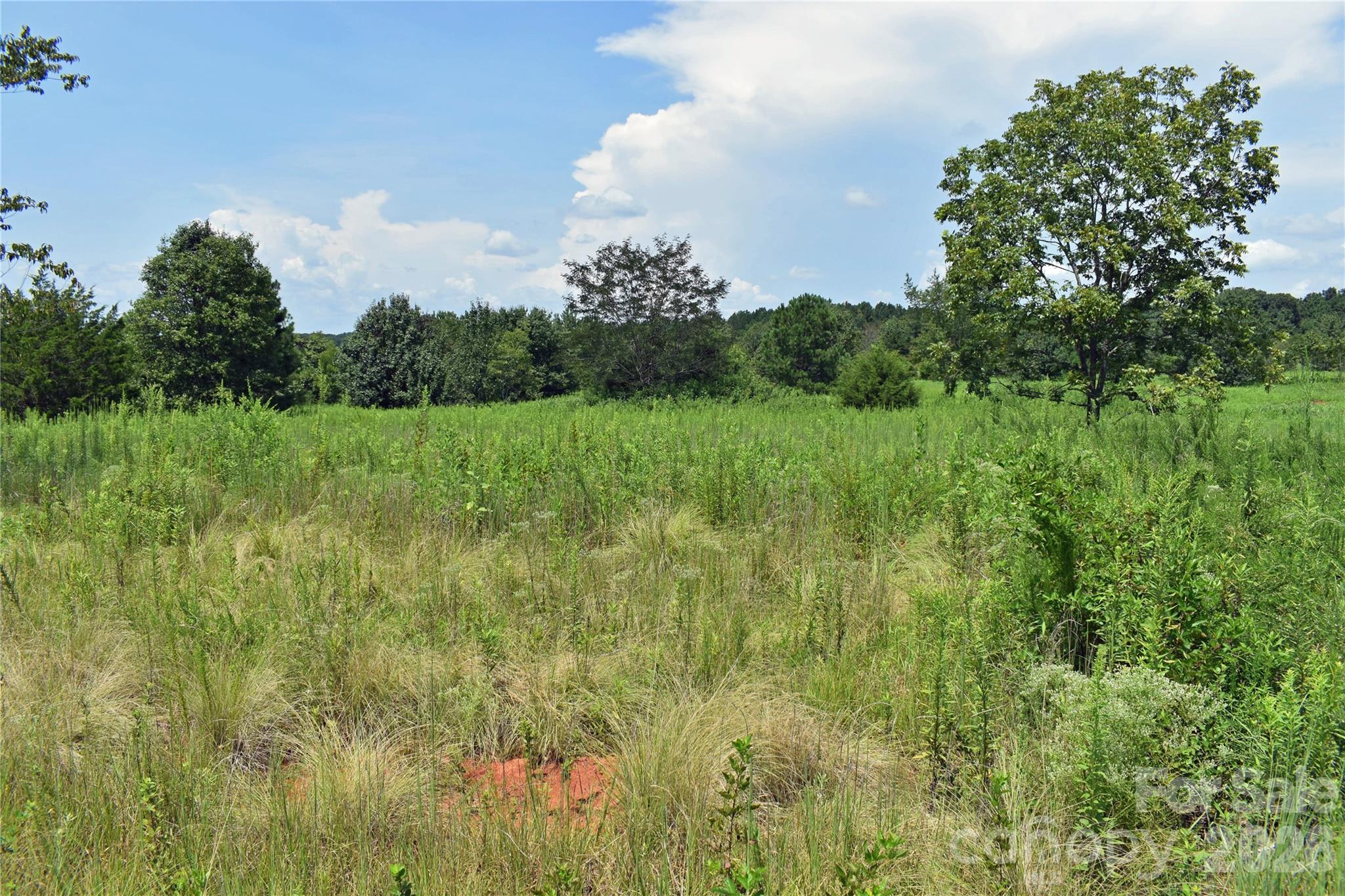 59 Malden Court Property Photo 7