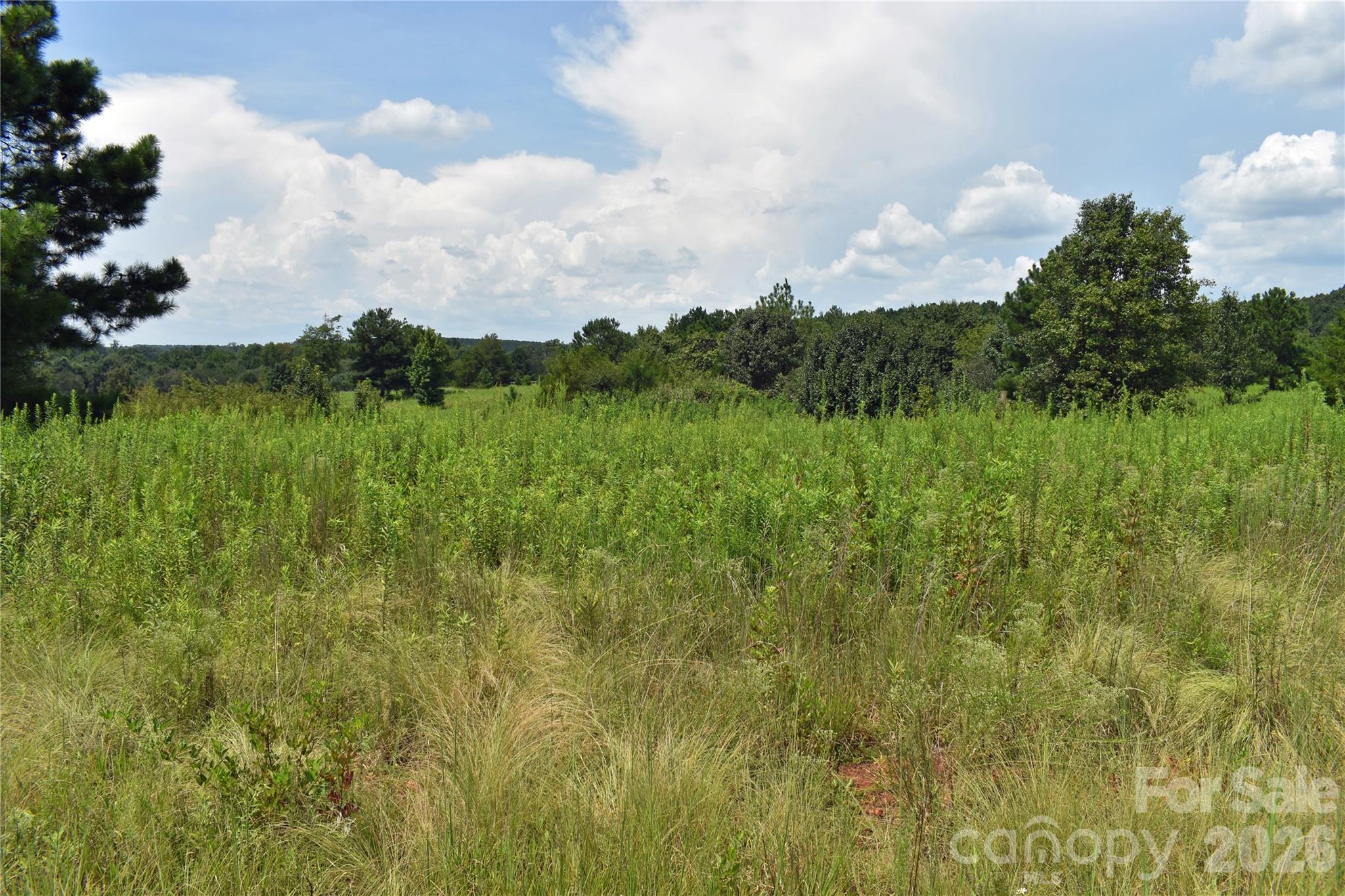 59 Malden Court Property Photo 9