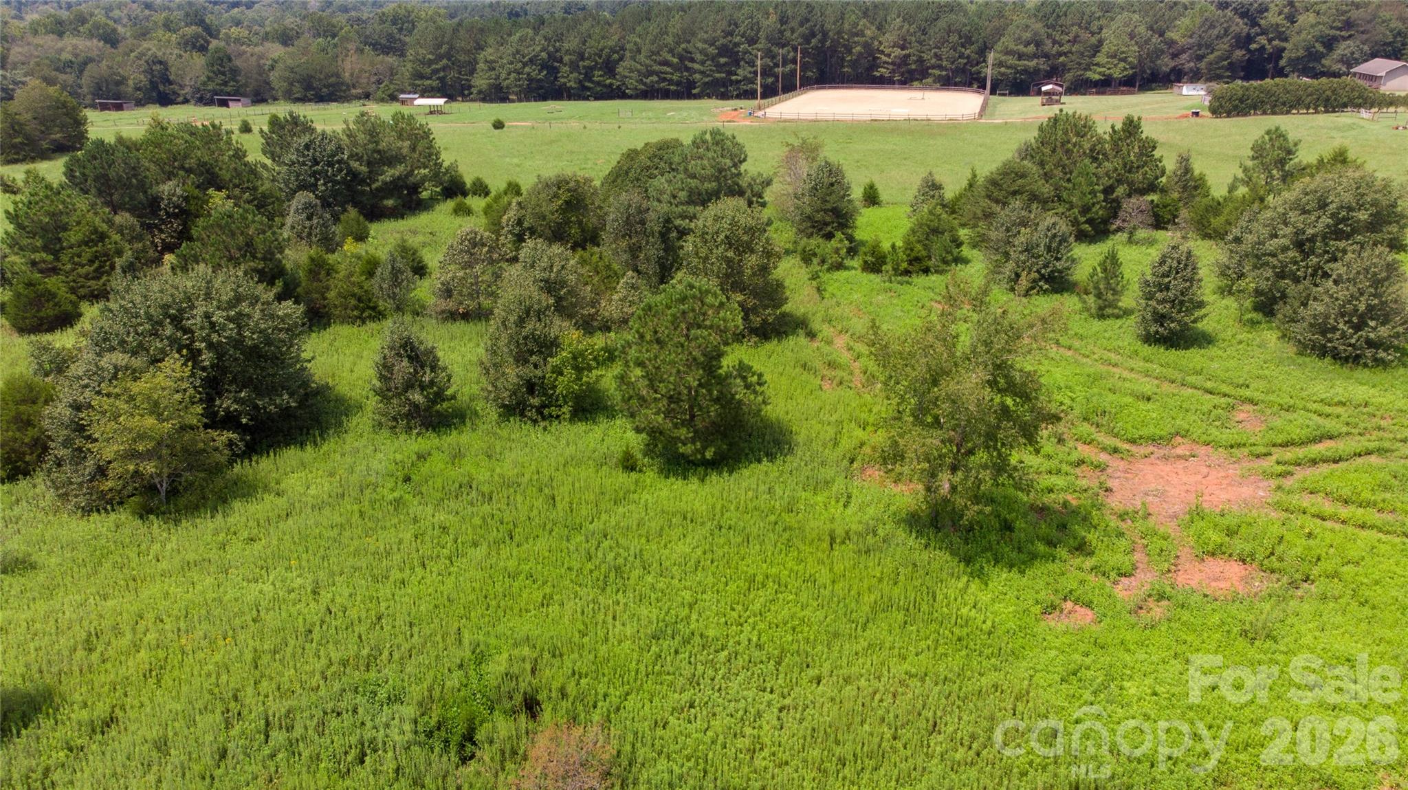 59 Malden Court Property Photo 12