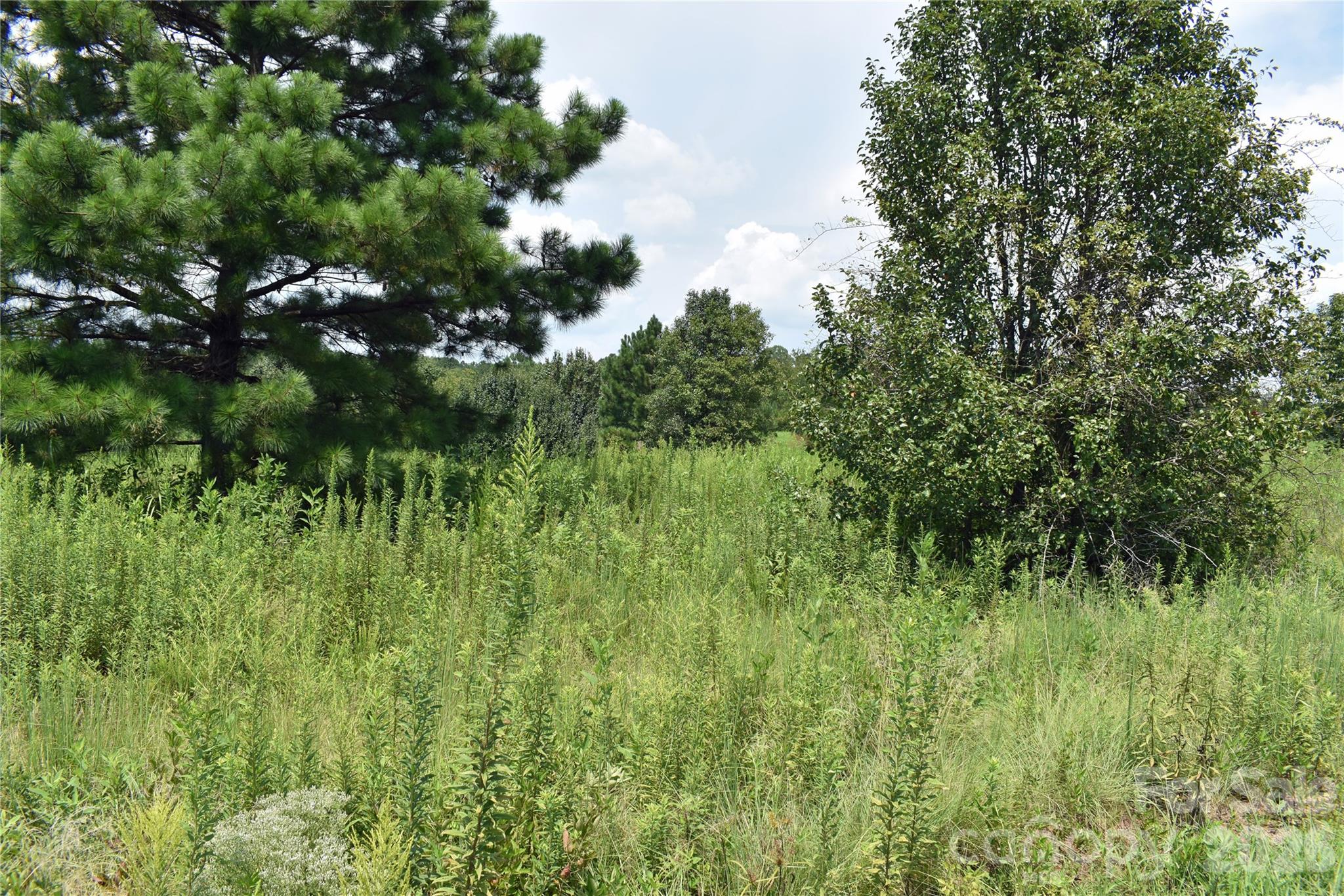 59 Malden Court Property Photo 15
