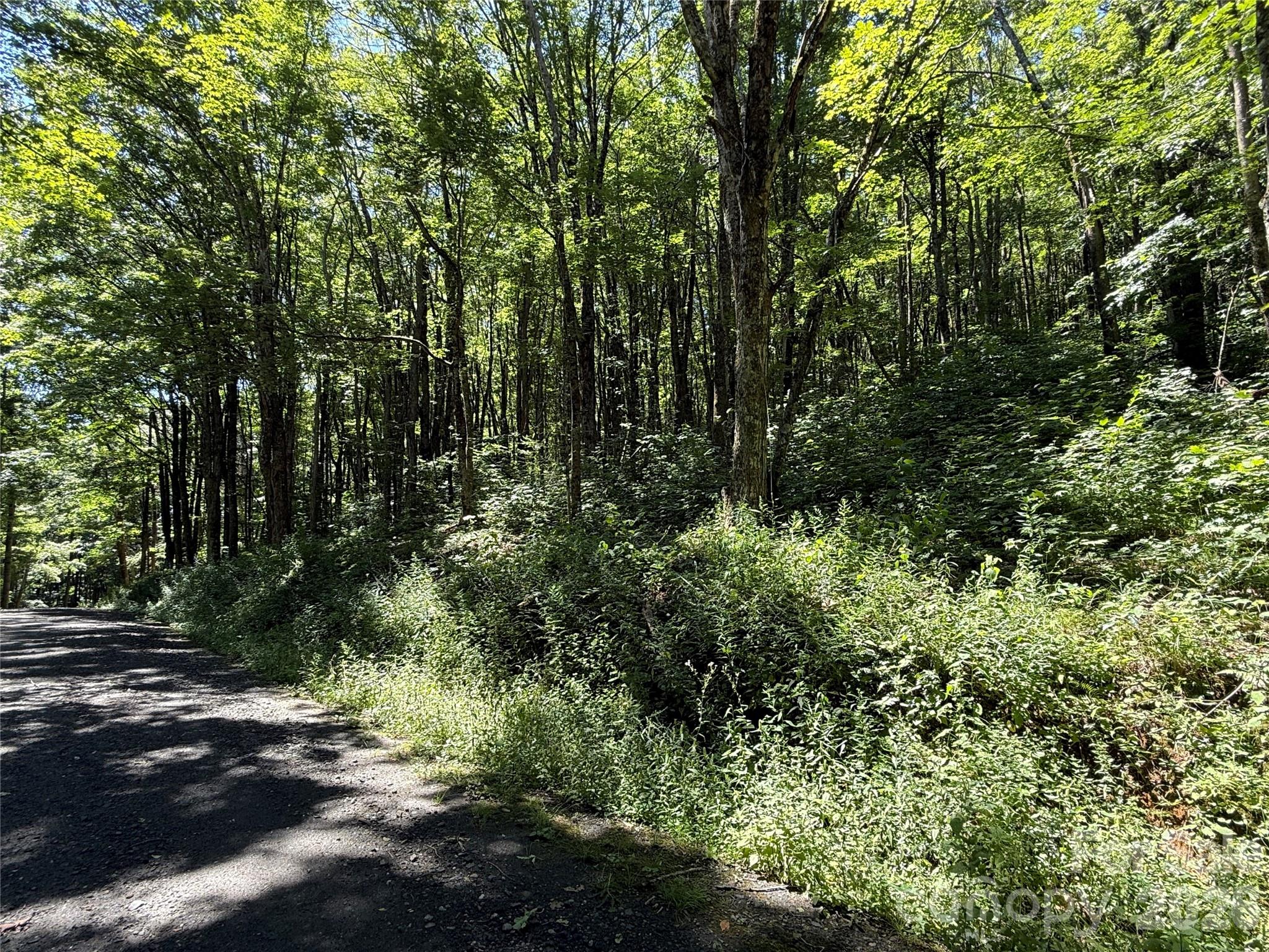 7 Wolfsbane Trail 7 Property Photo 4