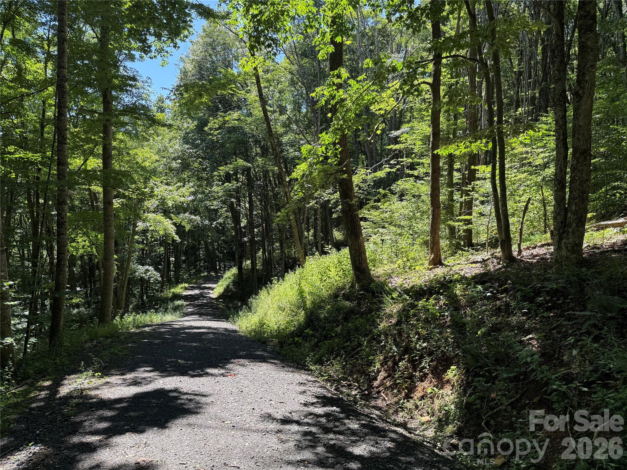 7 Wolfsbane Trail 7 Property Photo 5