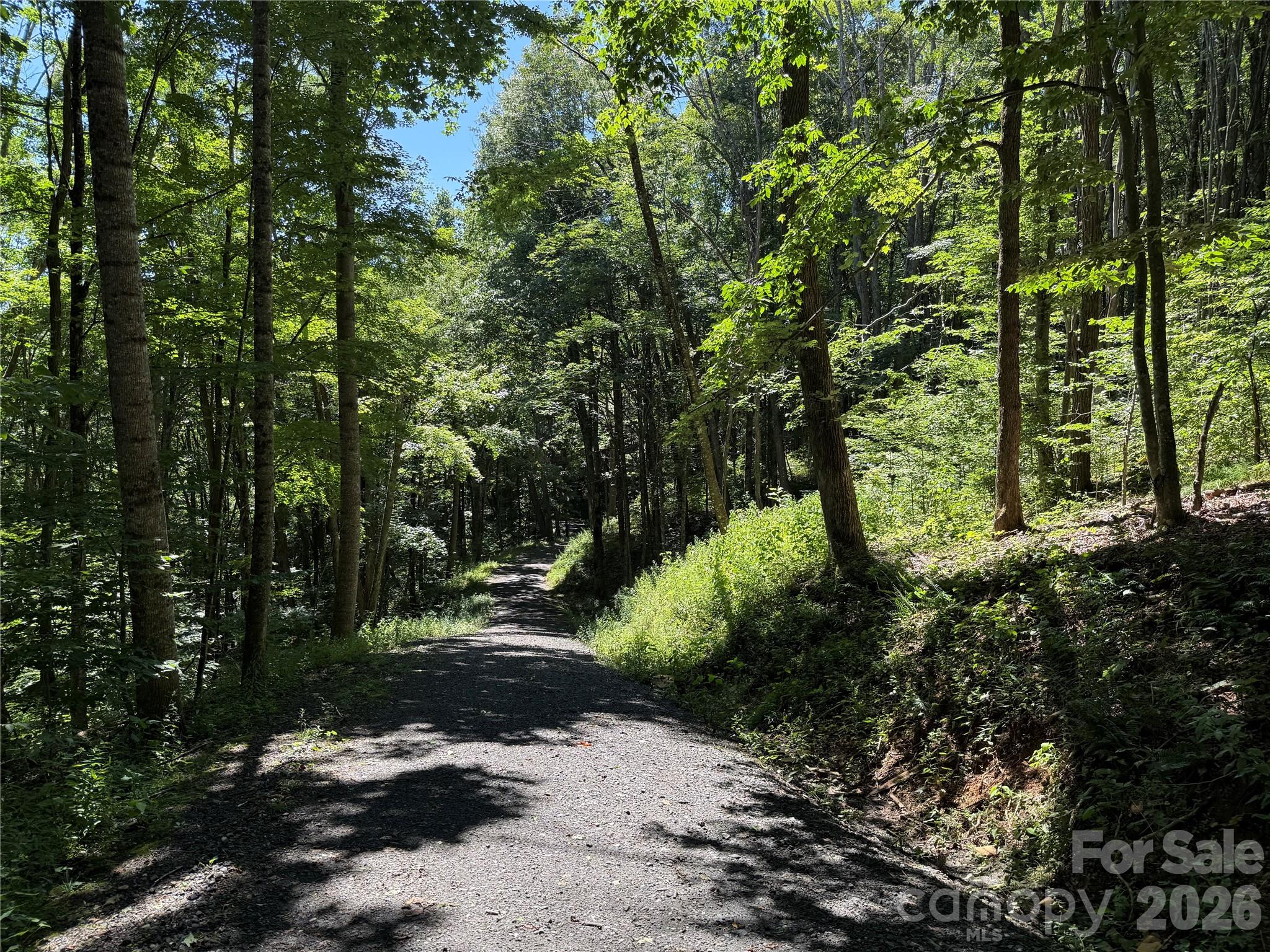 7 Wolfsbane Trail 7 Property Photo 8