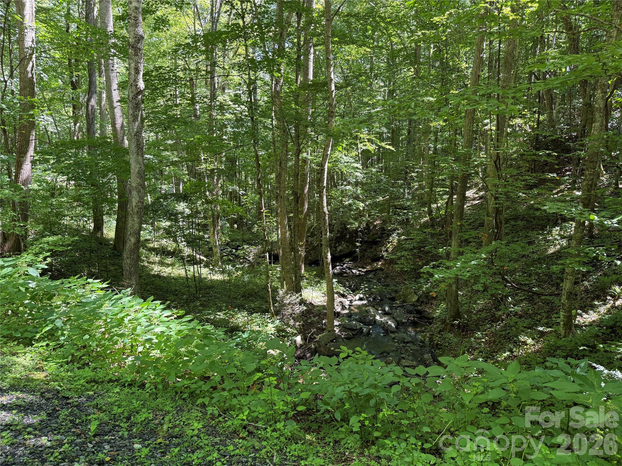 7 Wolfsbane Trail 7 Property Photo 11