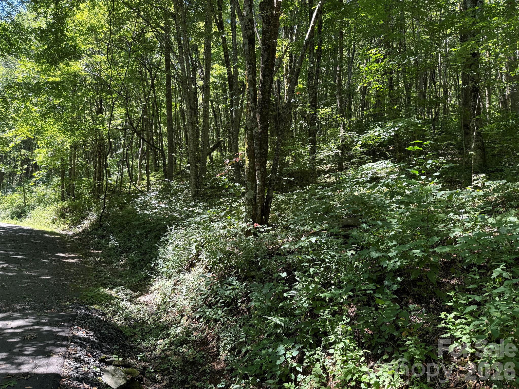 7 Wolfsbane Trail 7 Property Photo 24