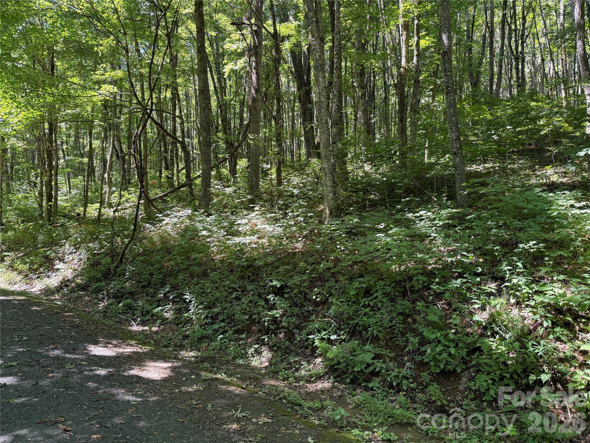 7 Wolfsbane Trail 7 Property Photo 25