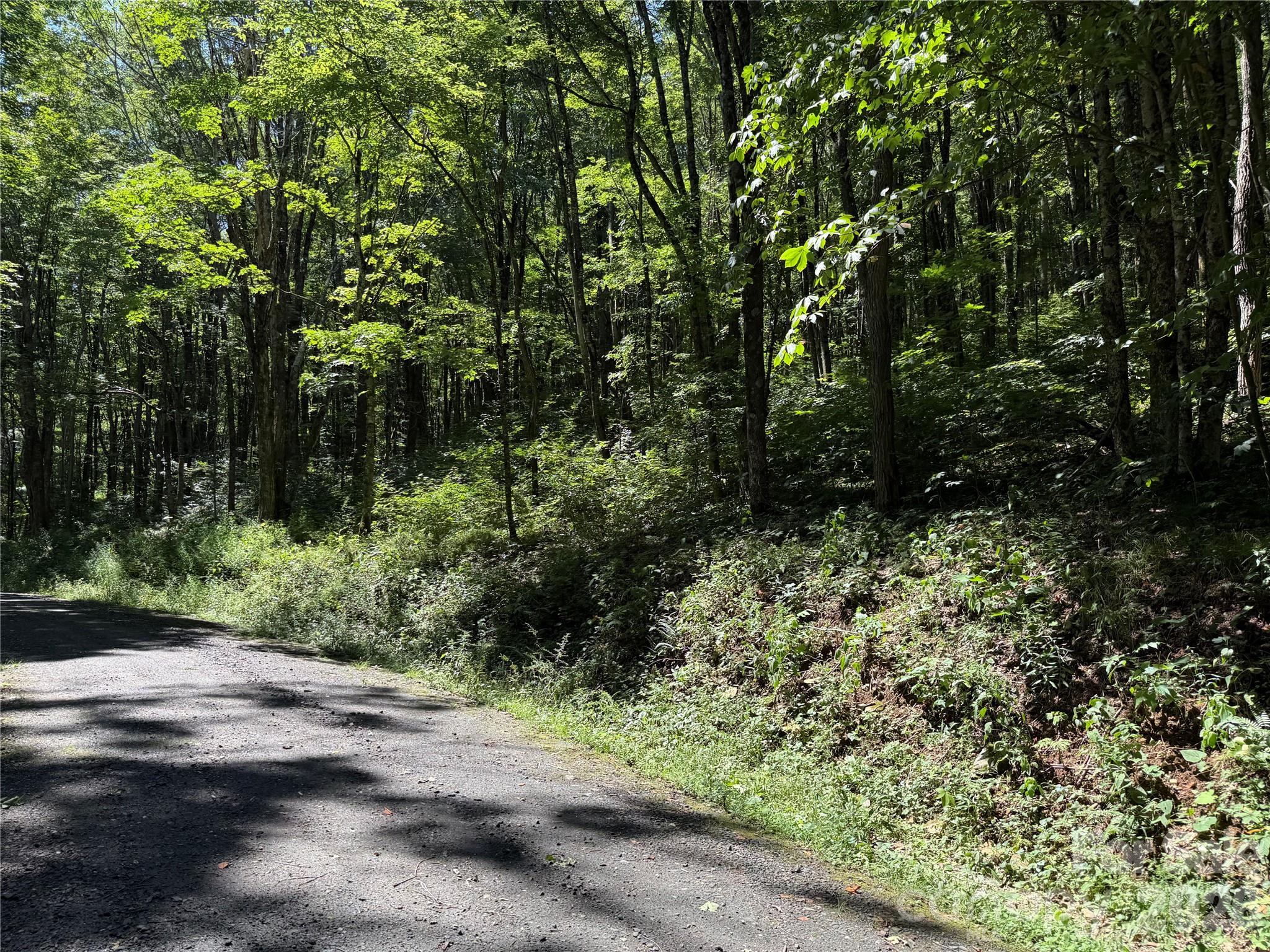 7 Wolfsbane Trail 7 Property Photo 26