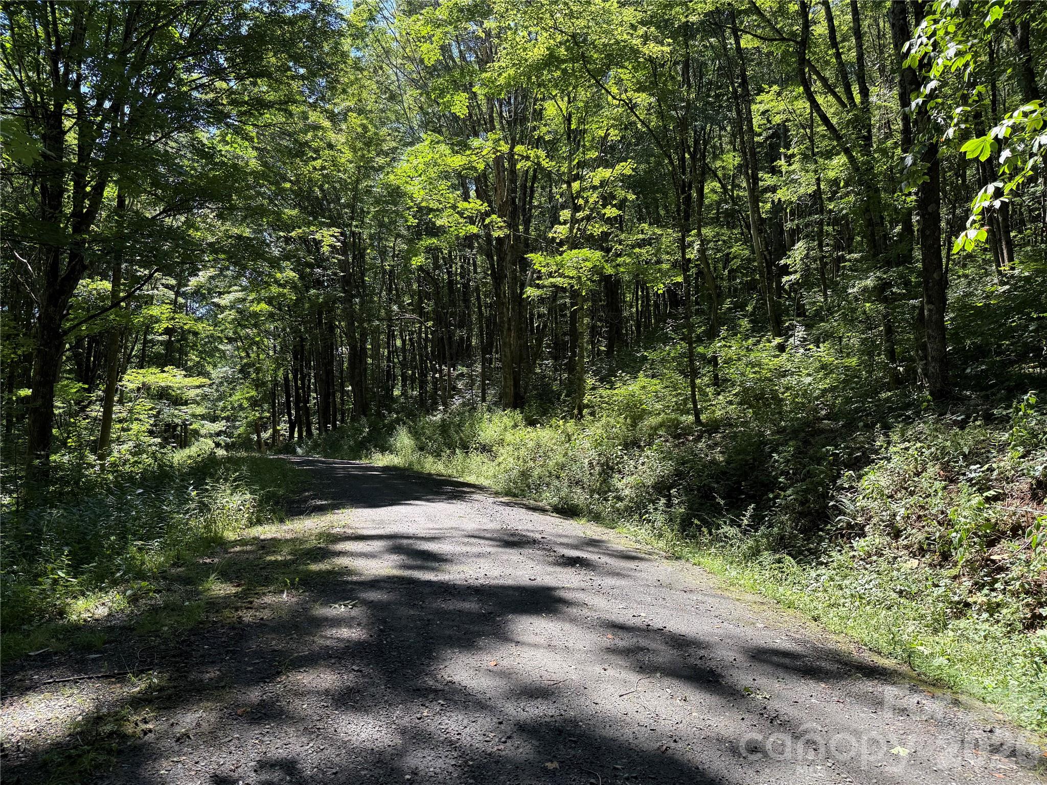 7 Wolfsbane Trail 7 Property Photo 27