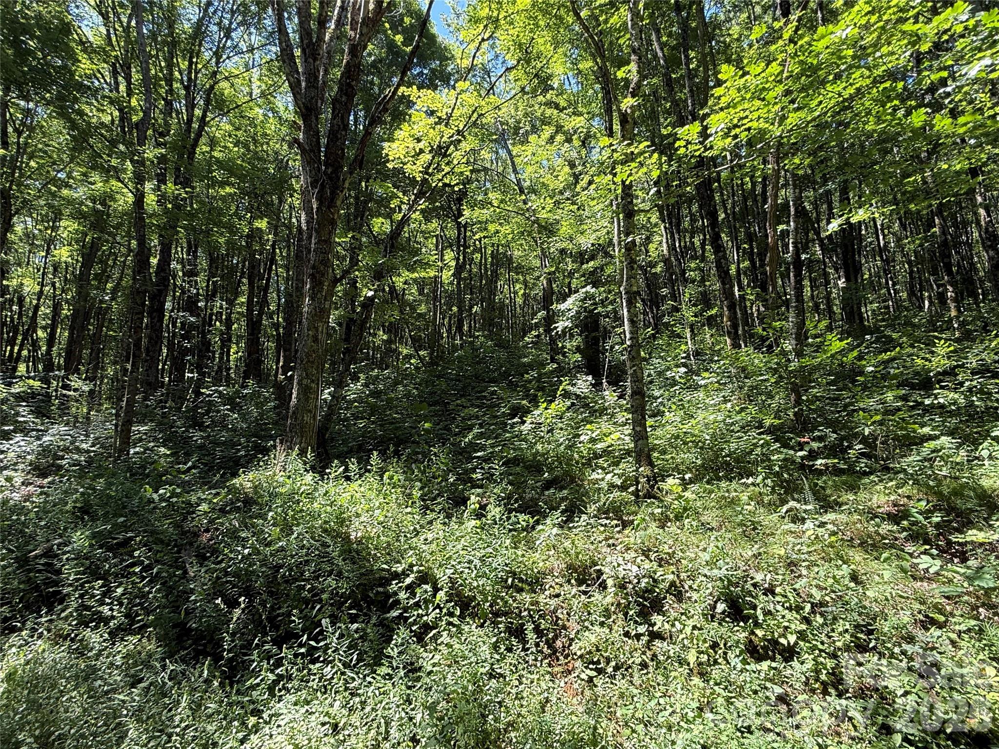 7 Wolfsbane Trail 7 Property Photo 28