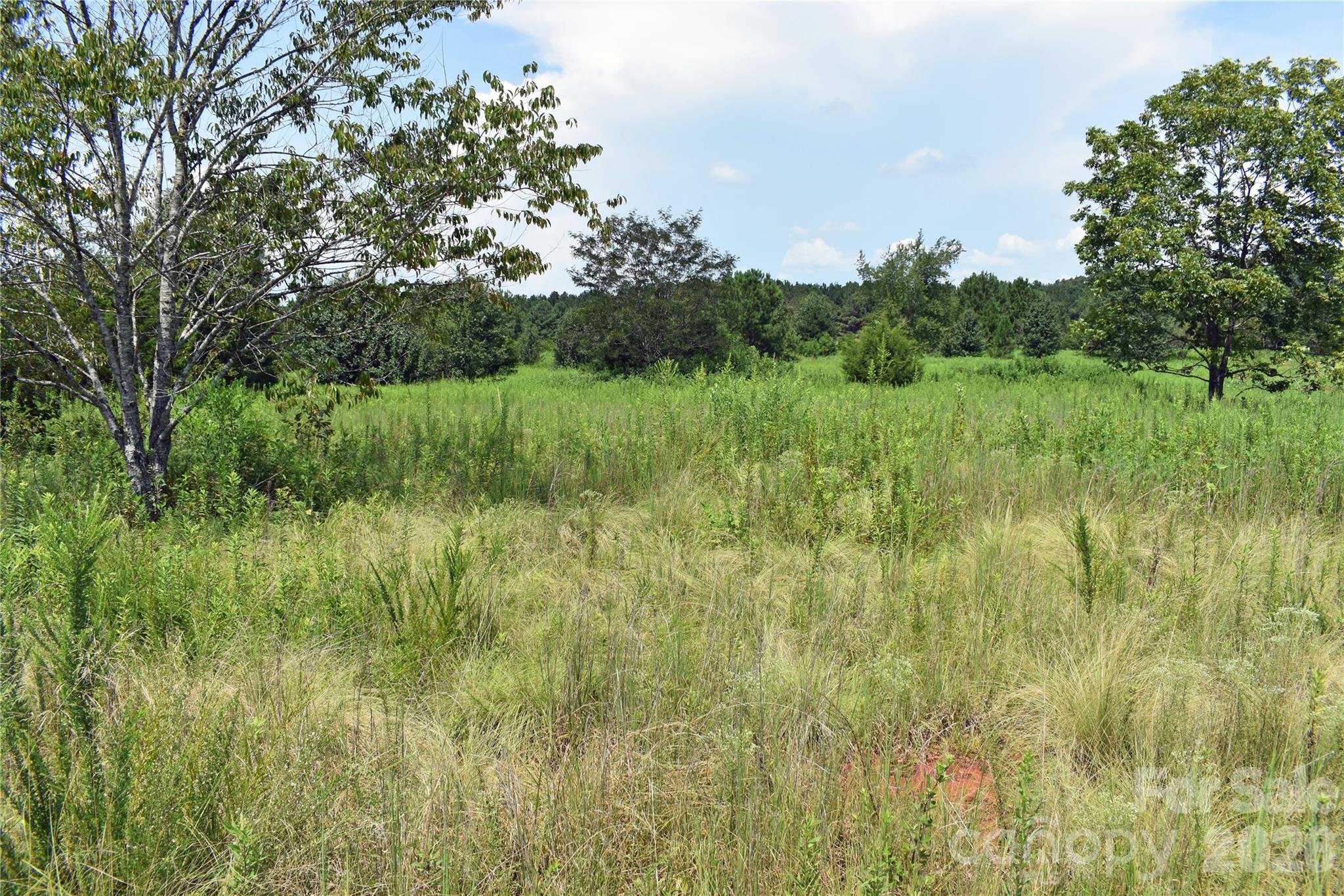 60 Malden Court Property Photo 2