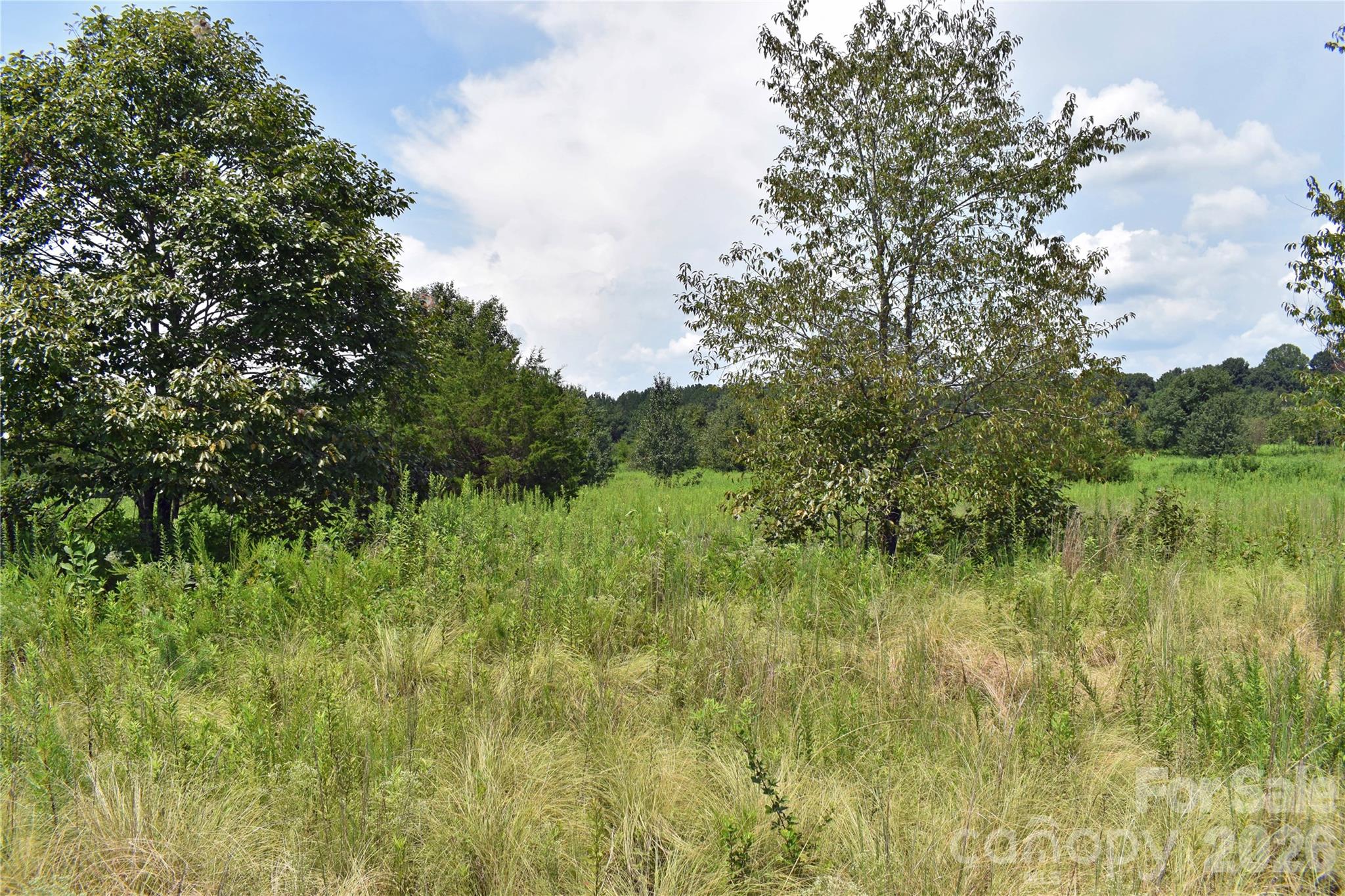 60 Malden Court Property Photo 4