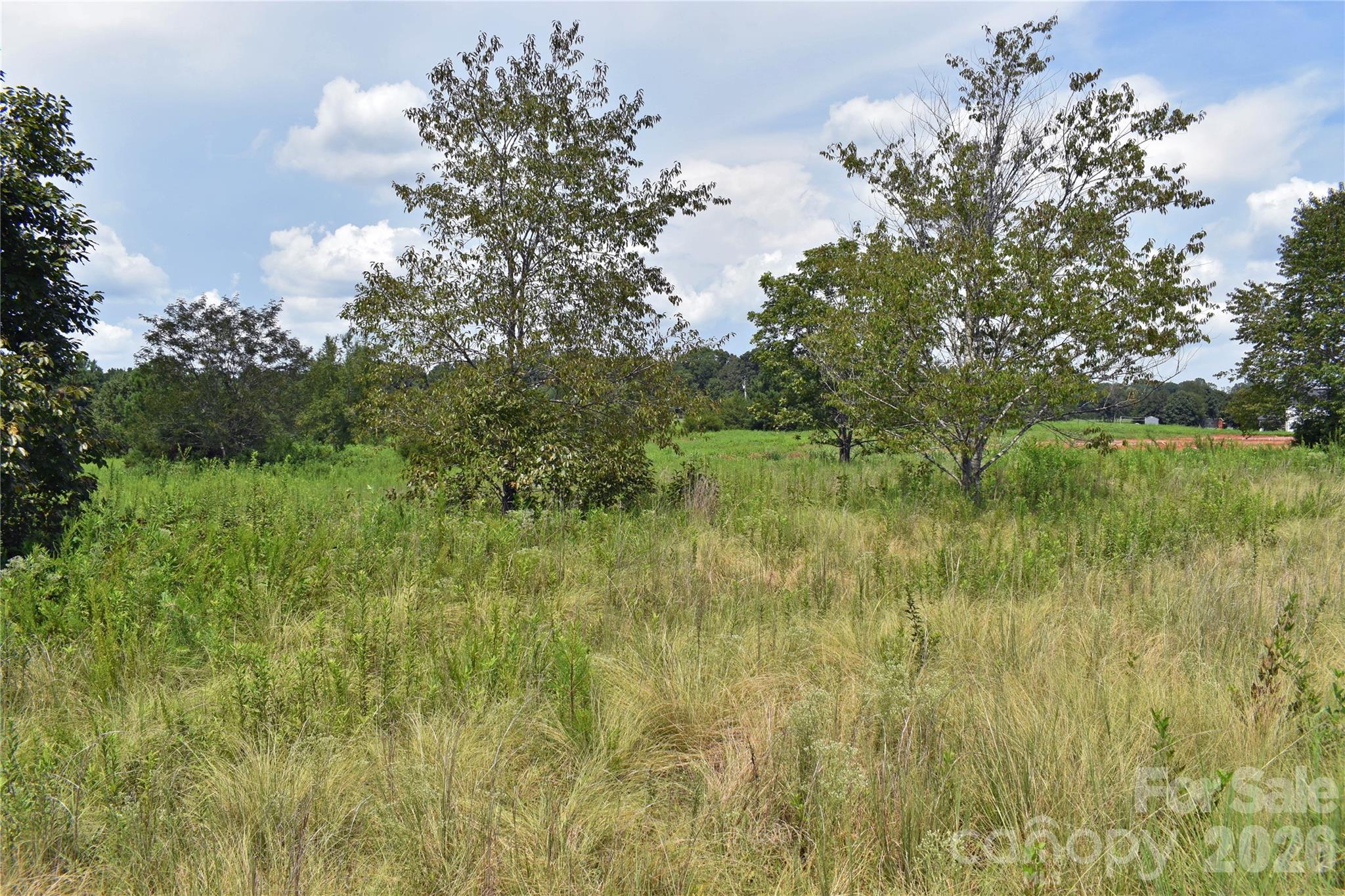60 Malden Court Property Photo 7