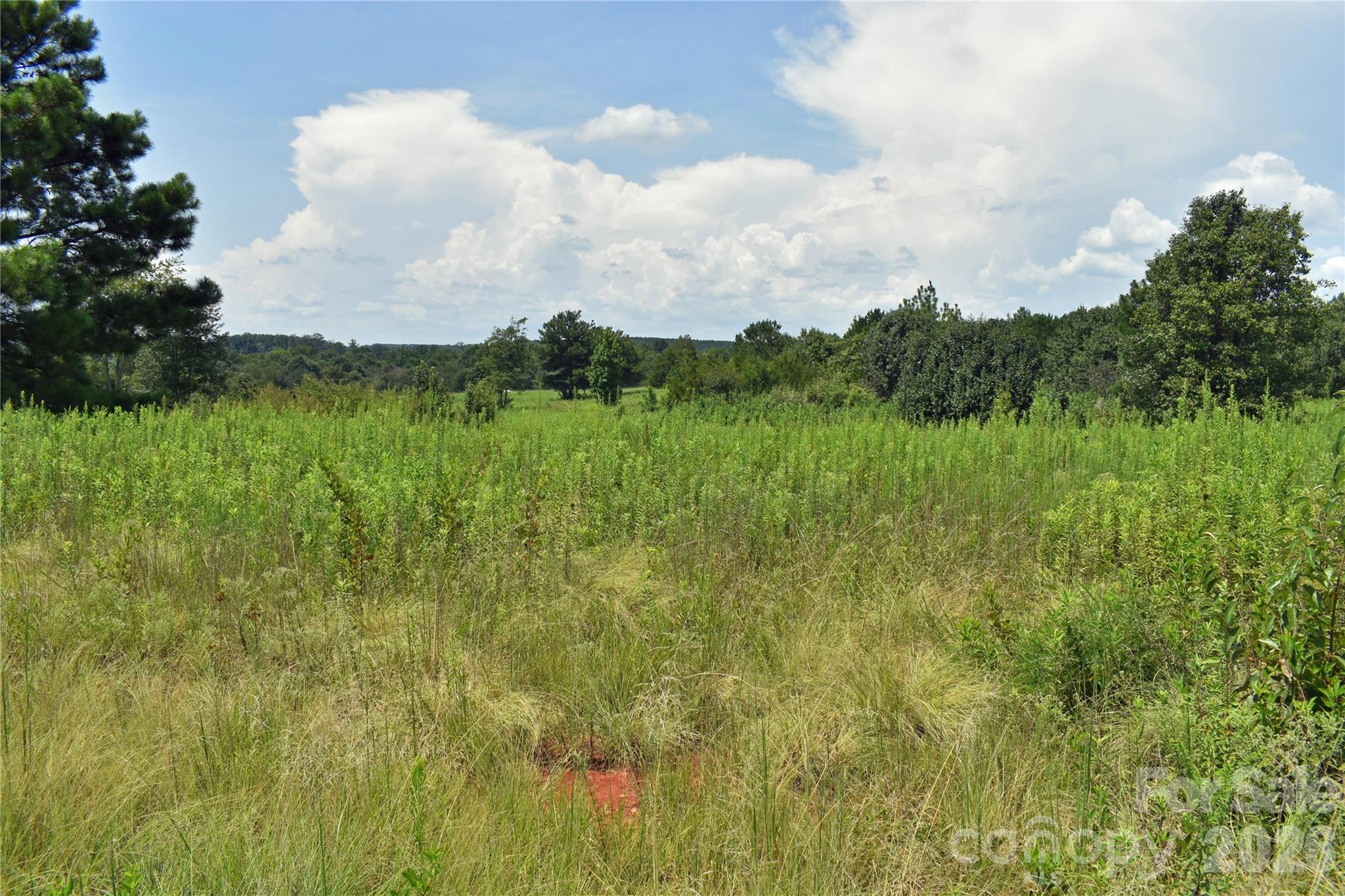 60 Malden Court Property Photo 11