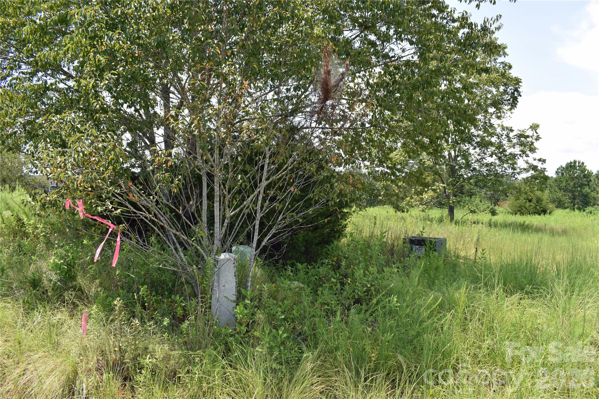 60 Malden Court Property Photo 13