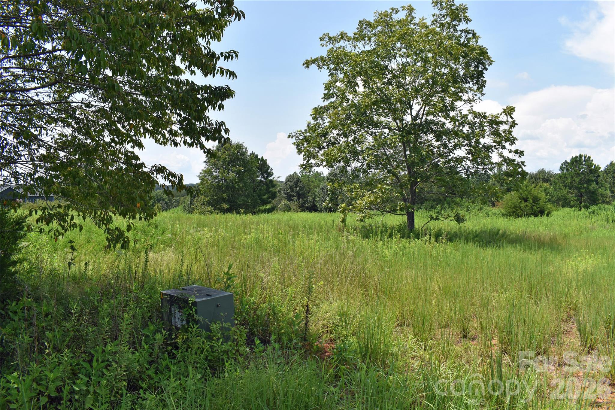 60 Malden Court Property Photo 15