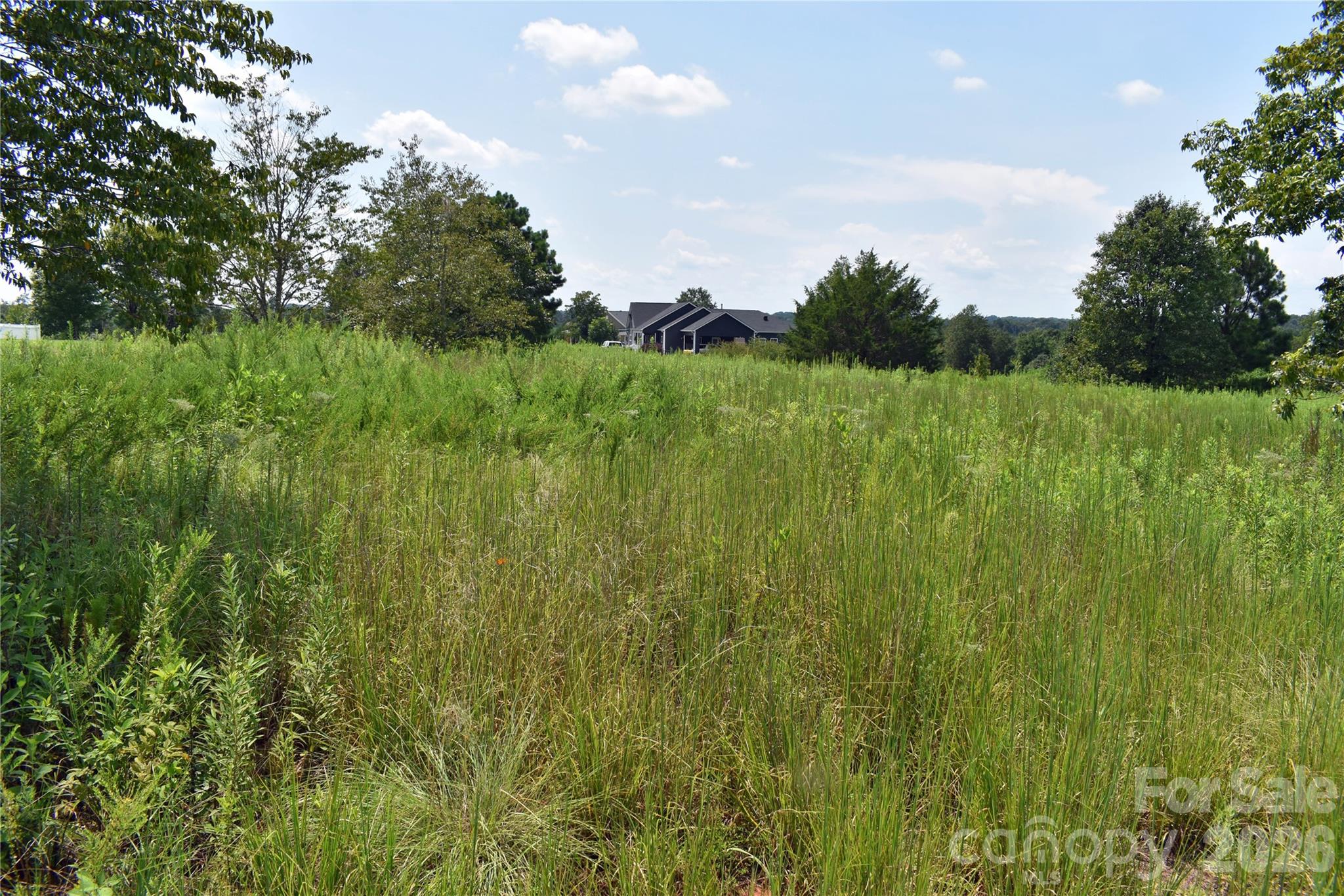 60 Malden Court Property Photo 17