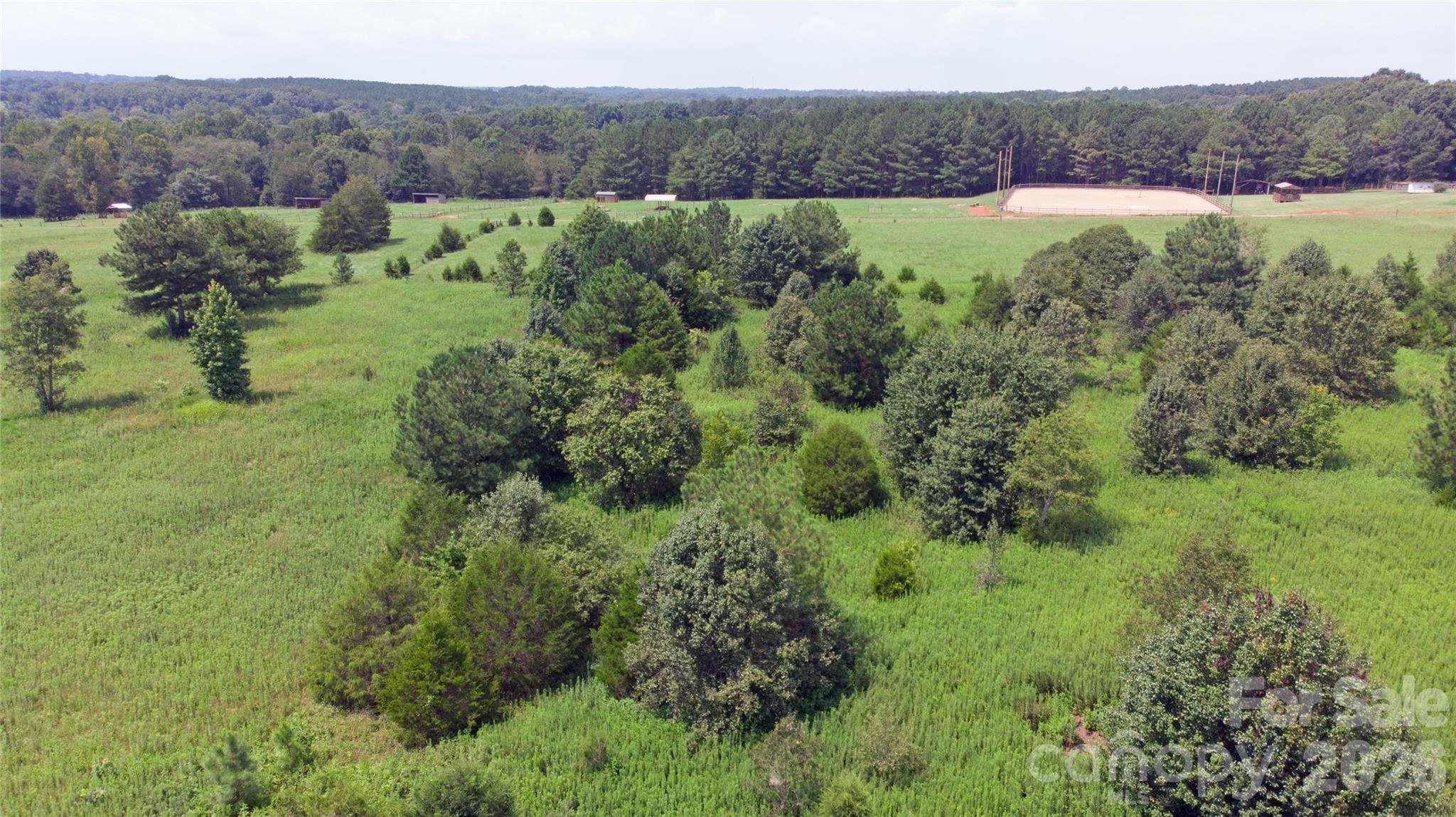 60 Malden Court Property Photo 18