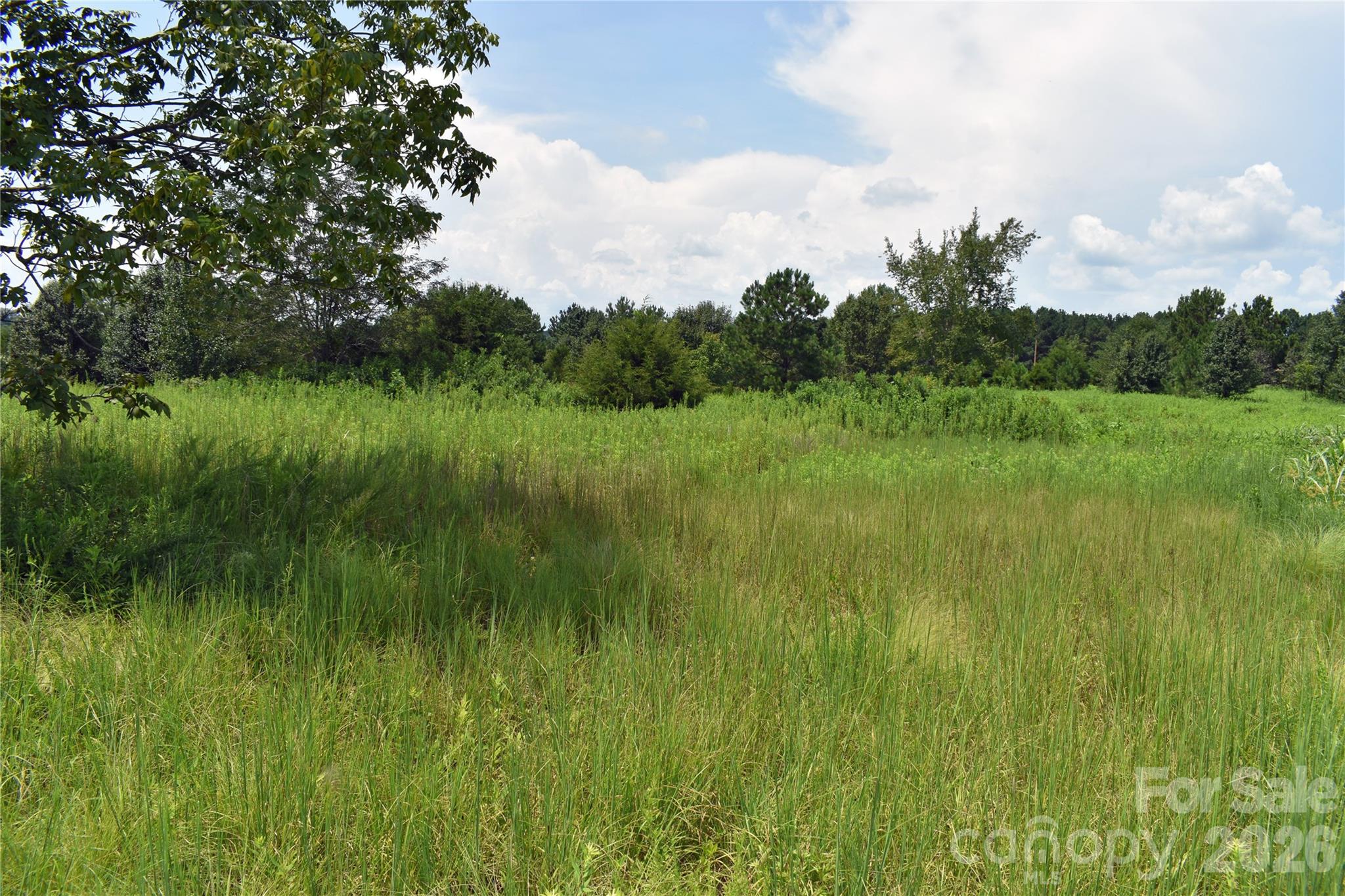60 Malden Court Property Photo 19