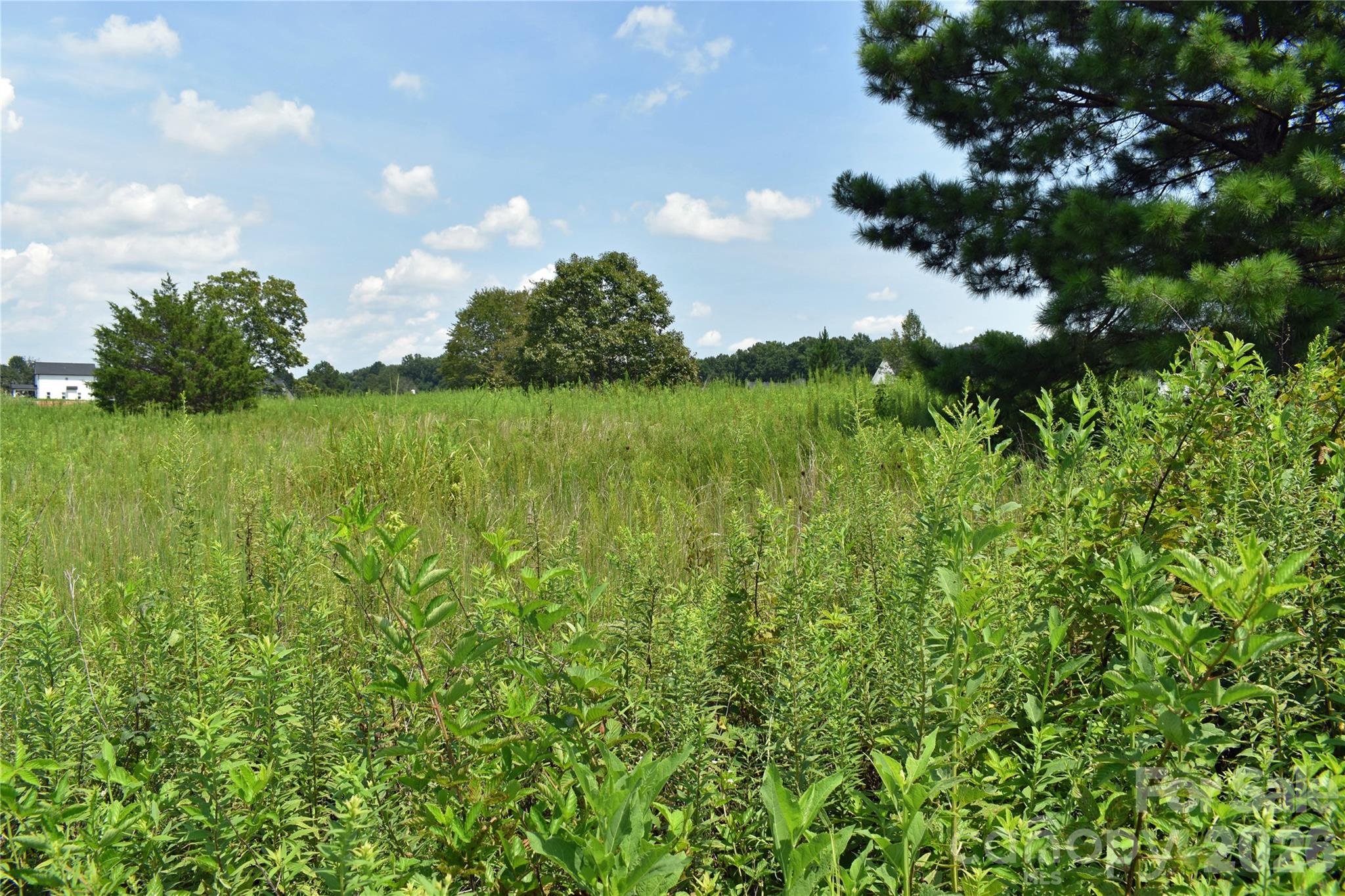 60 Malden Court Property Photo 20
