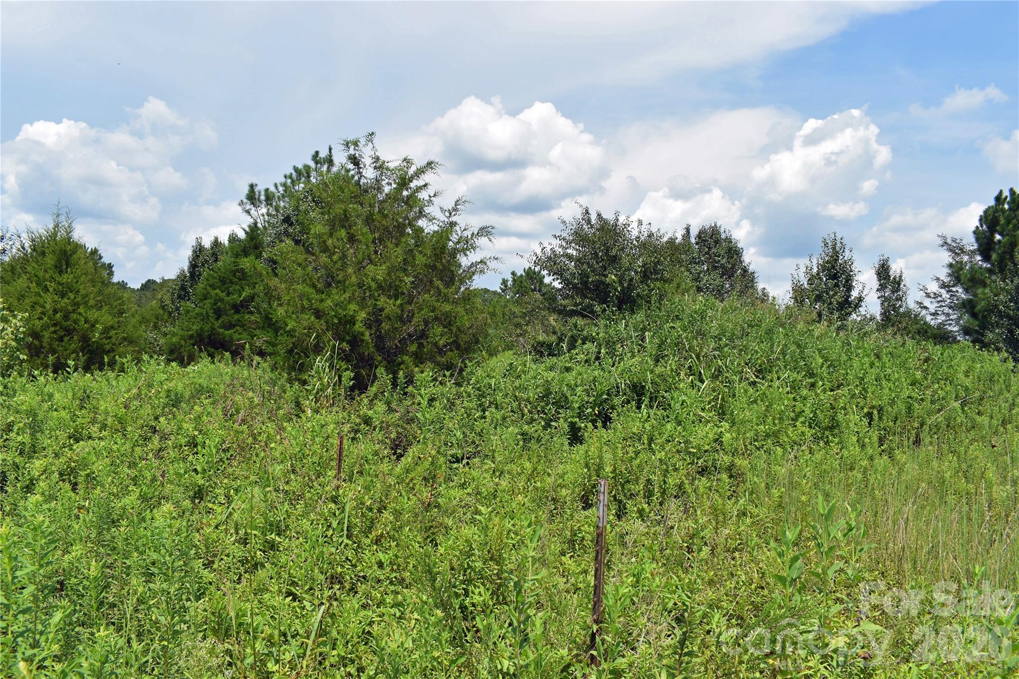 60 Malden Court Property Photo 22