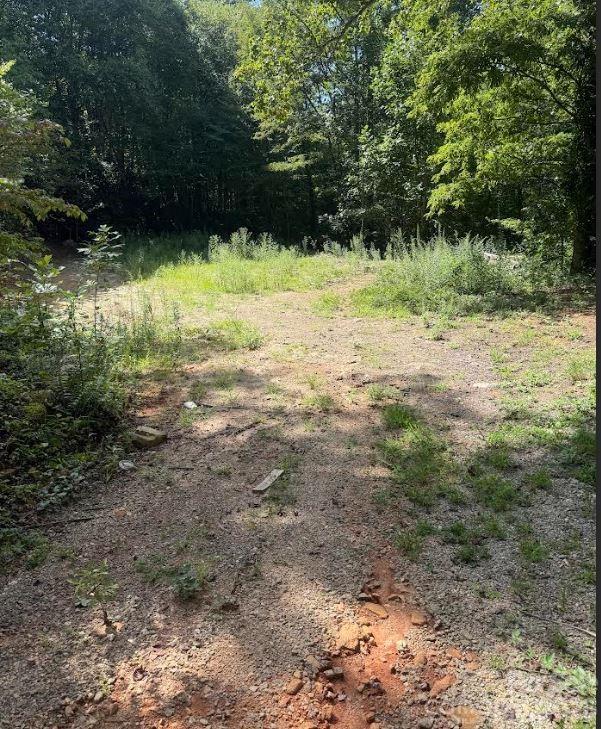 107 Flat Creek Drive Property Photo 29