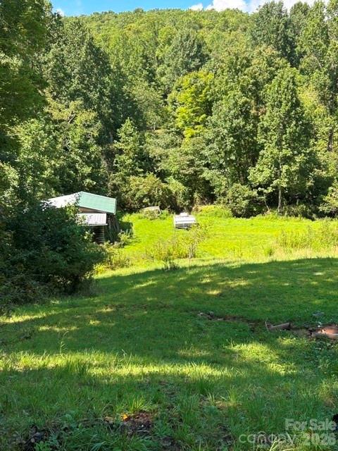 107 Flat Creek Drive Property Photo 32