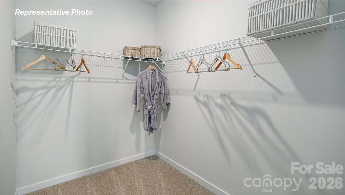 483 Dazzle Loop Property Photo 23