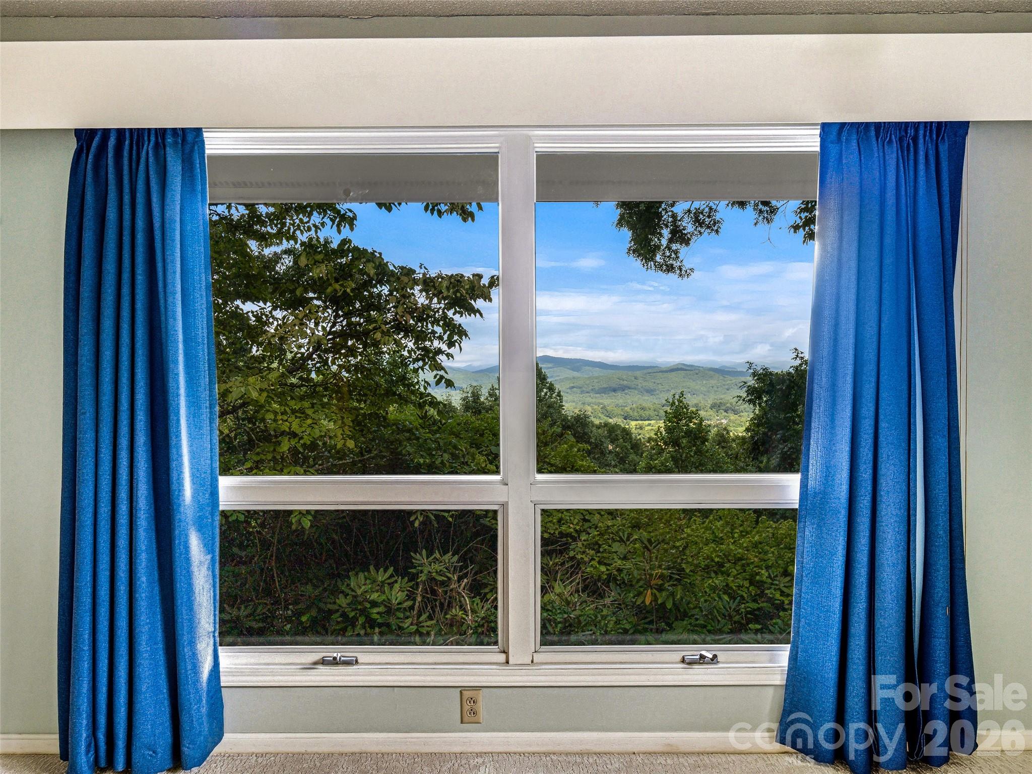 252 Middlemount Road Property Photo 24