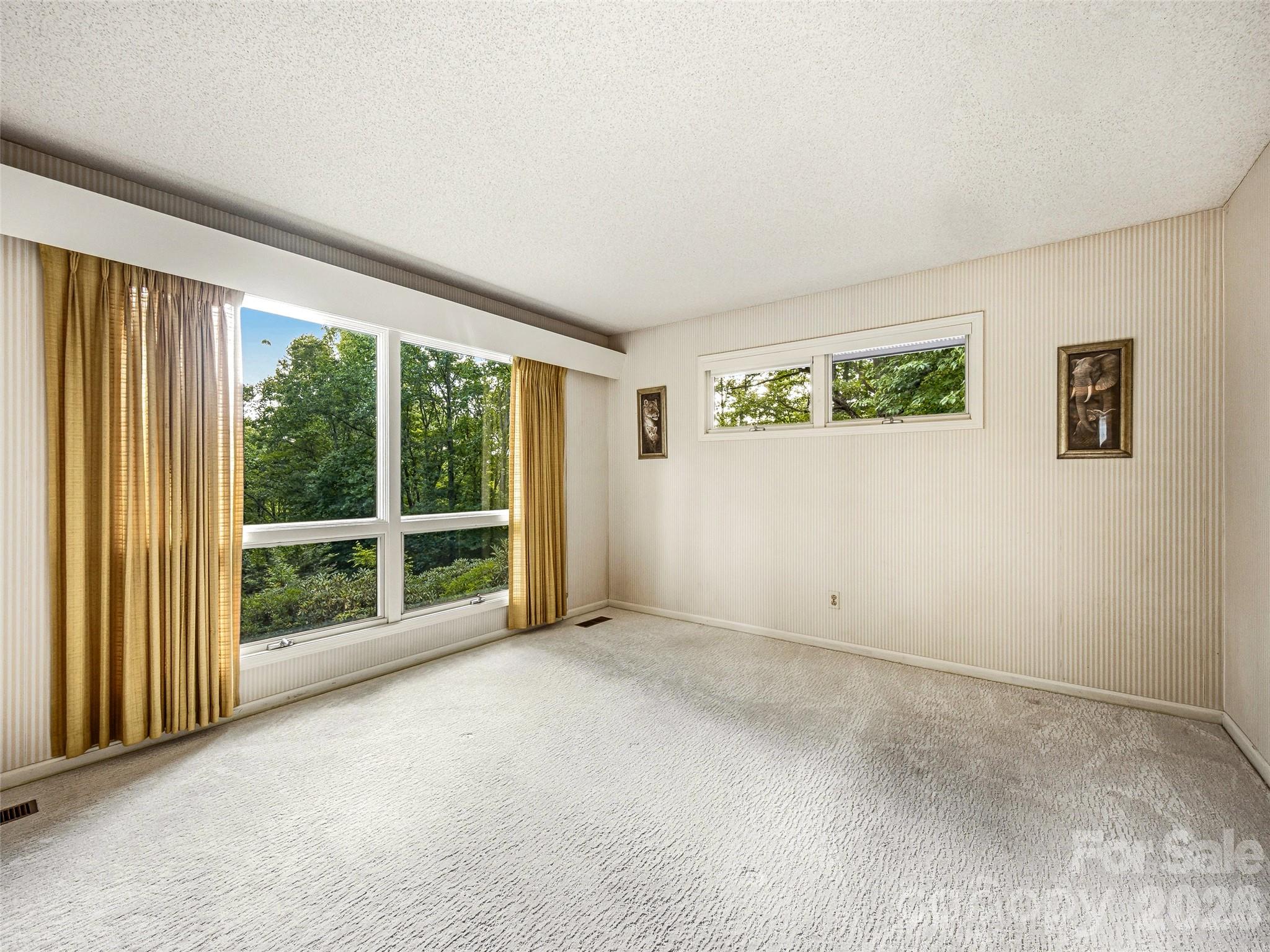 252 Middlemount Road Property Photo 28